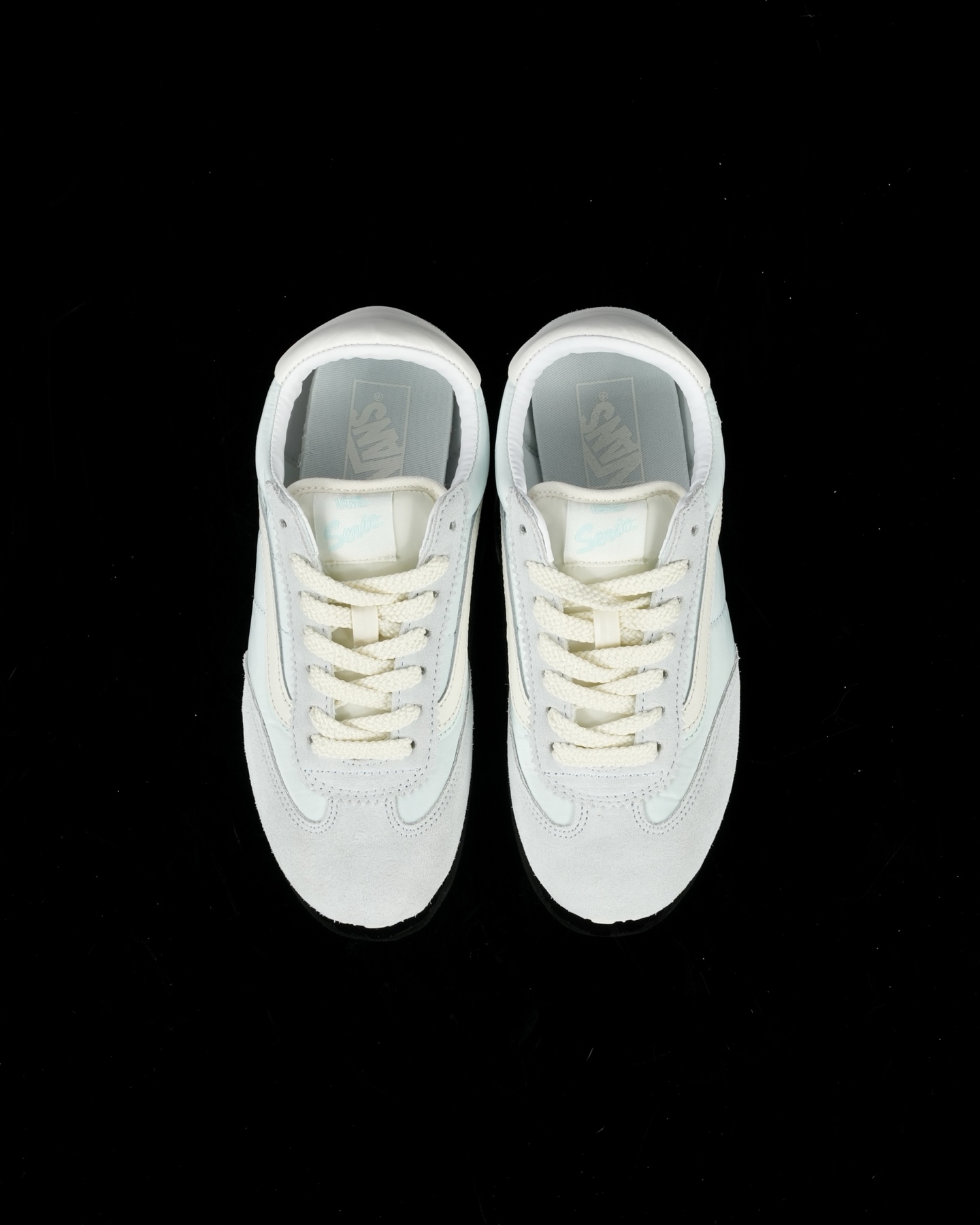 Vans Basic Shoes L-s