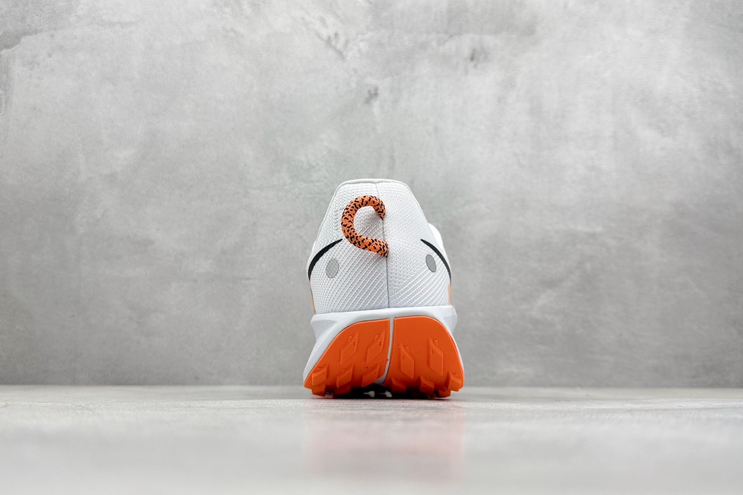 Basic Shoes L-xl
