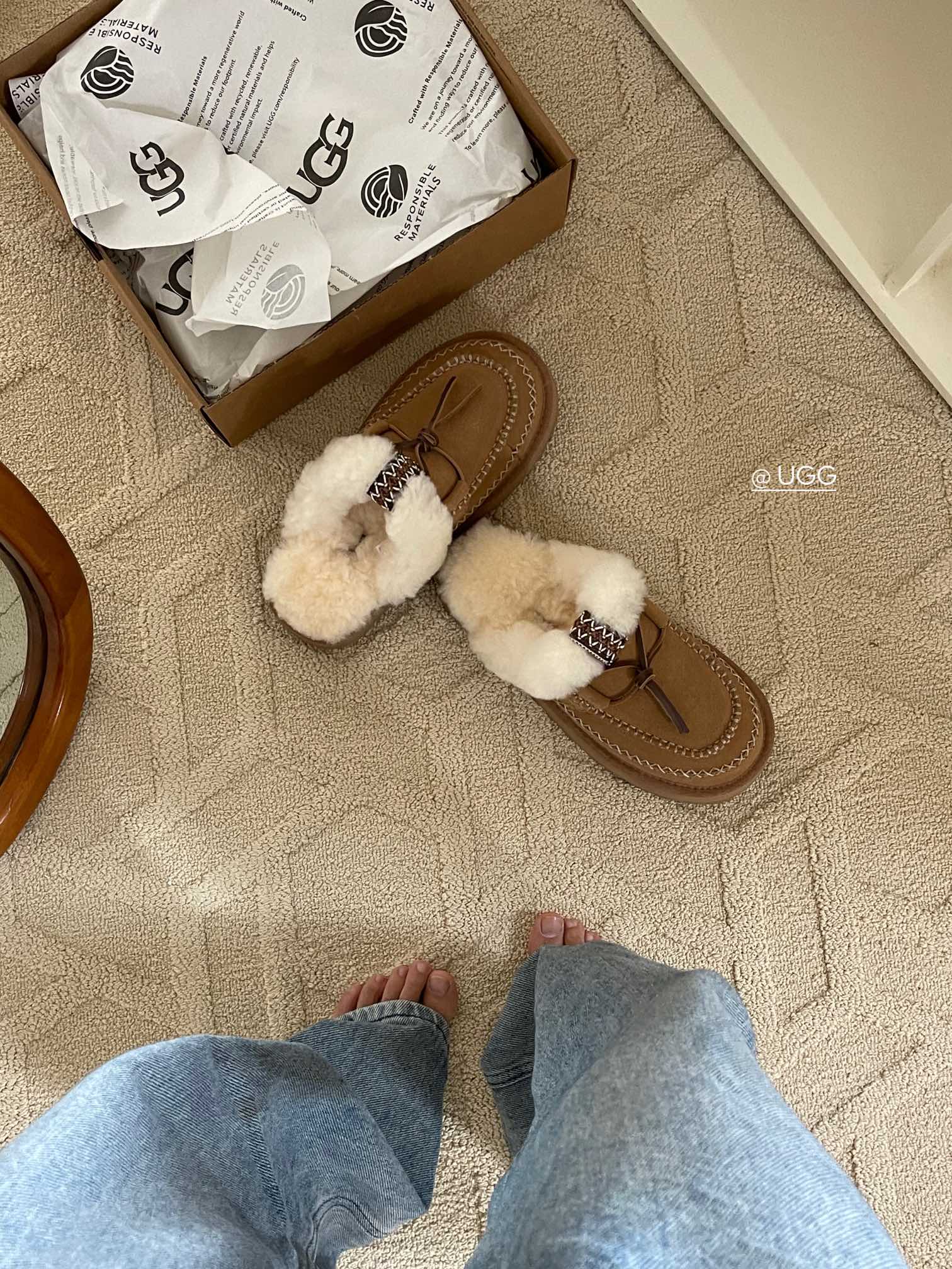 Basic Shoes