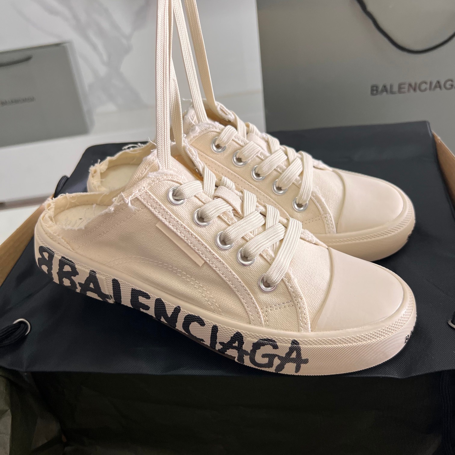 Balenciaga Basic Shoes L