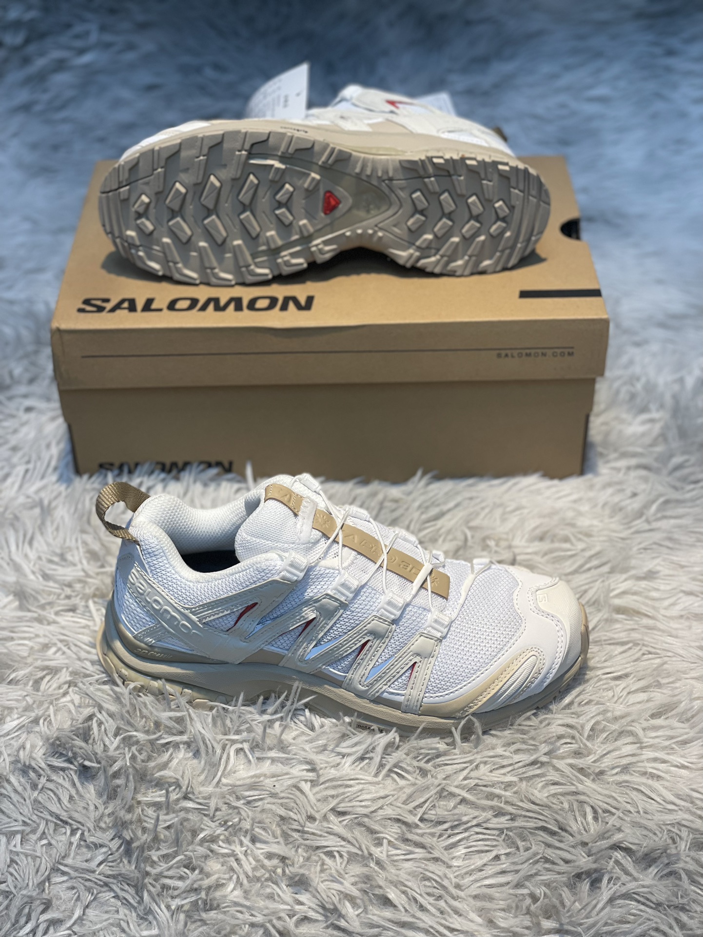 Salomon Male Basic Shoes M-l-s