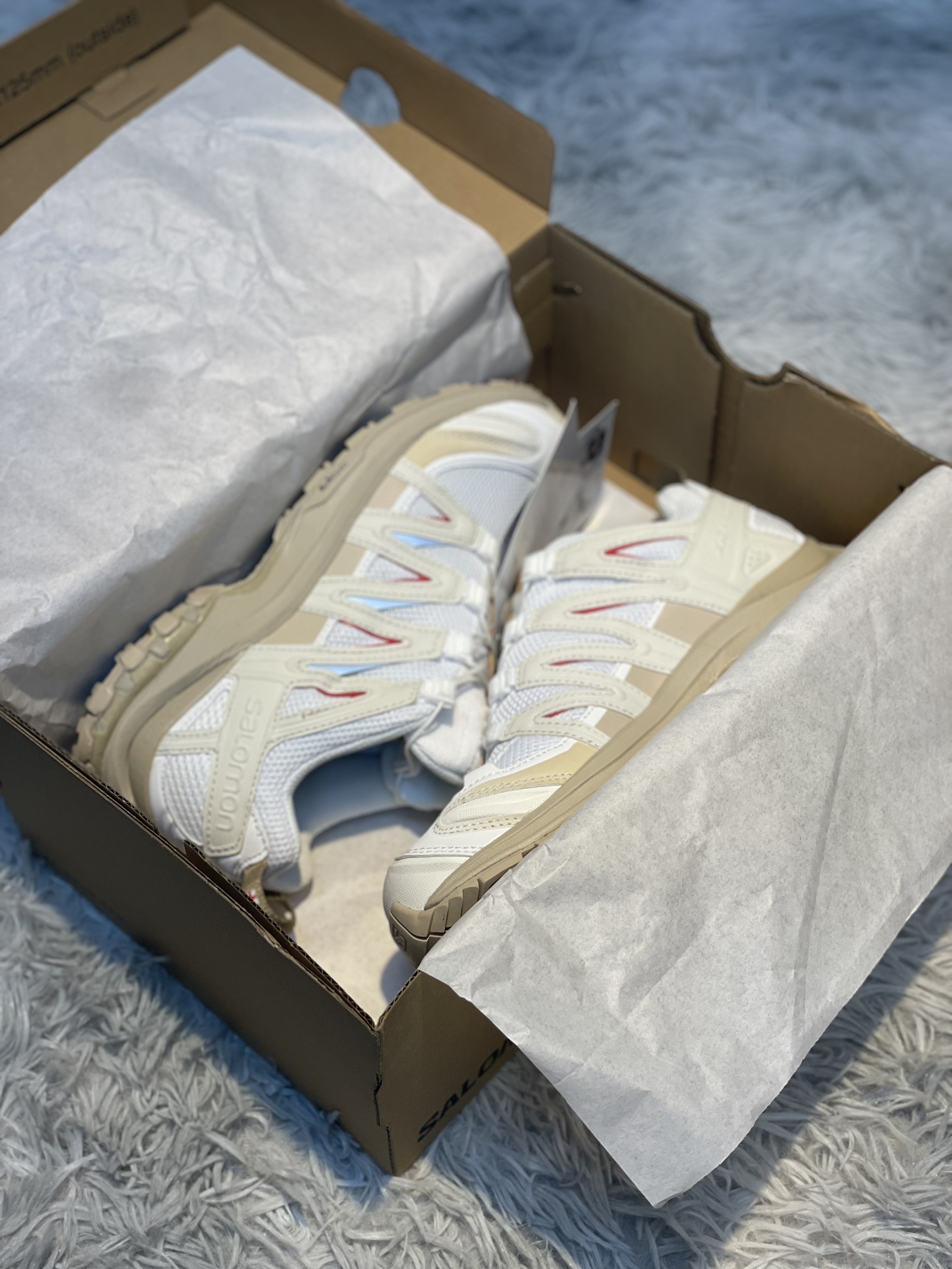 Salomon Male Basic Shoes M-l-s