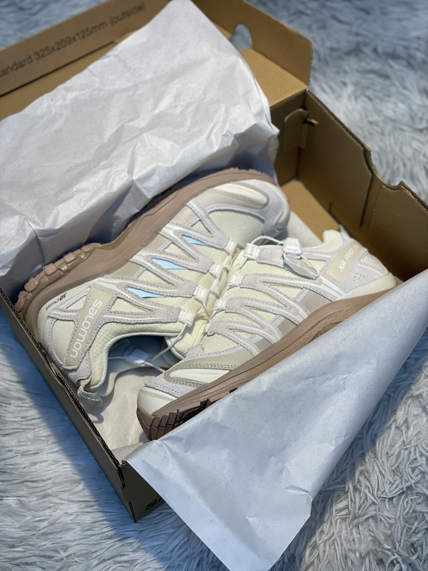Salomon Male Basic Shoes M-l-s