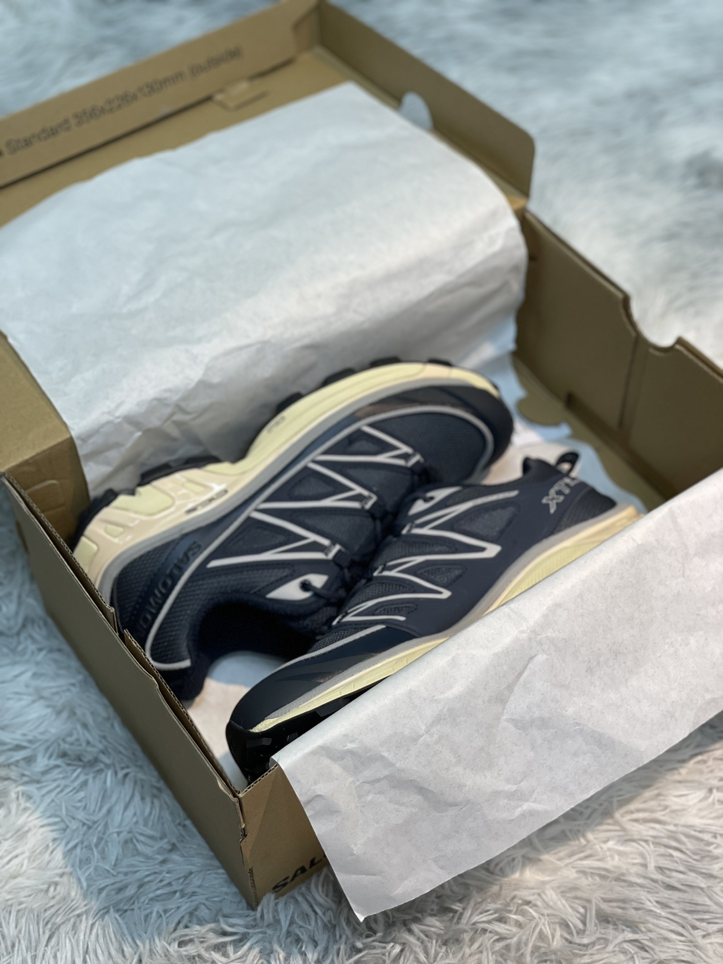 Salomon Male Basic Shoes M-l-s