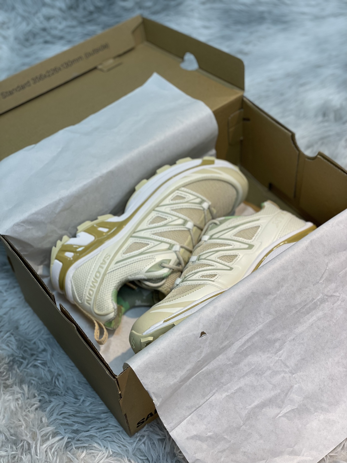 Salomon Male Basic Shoes M-l-s
