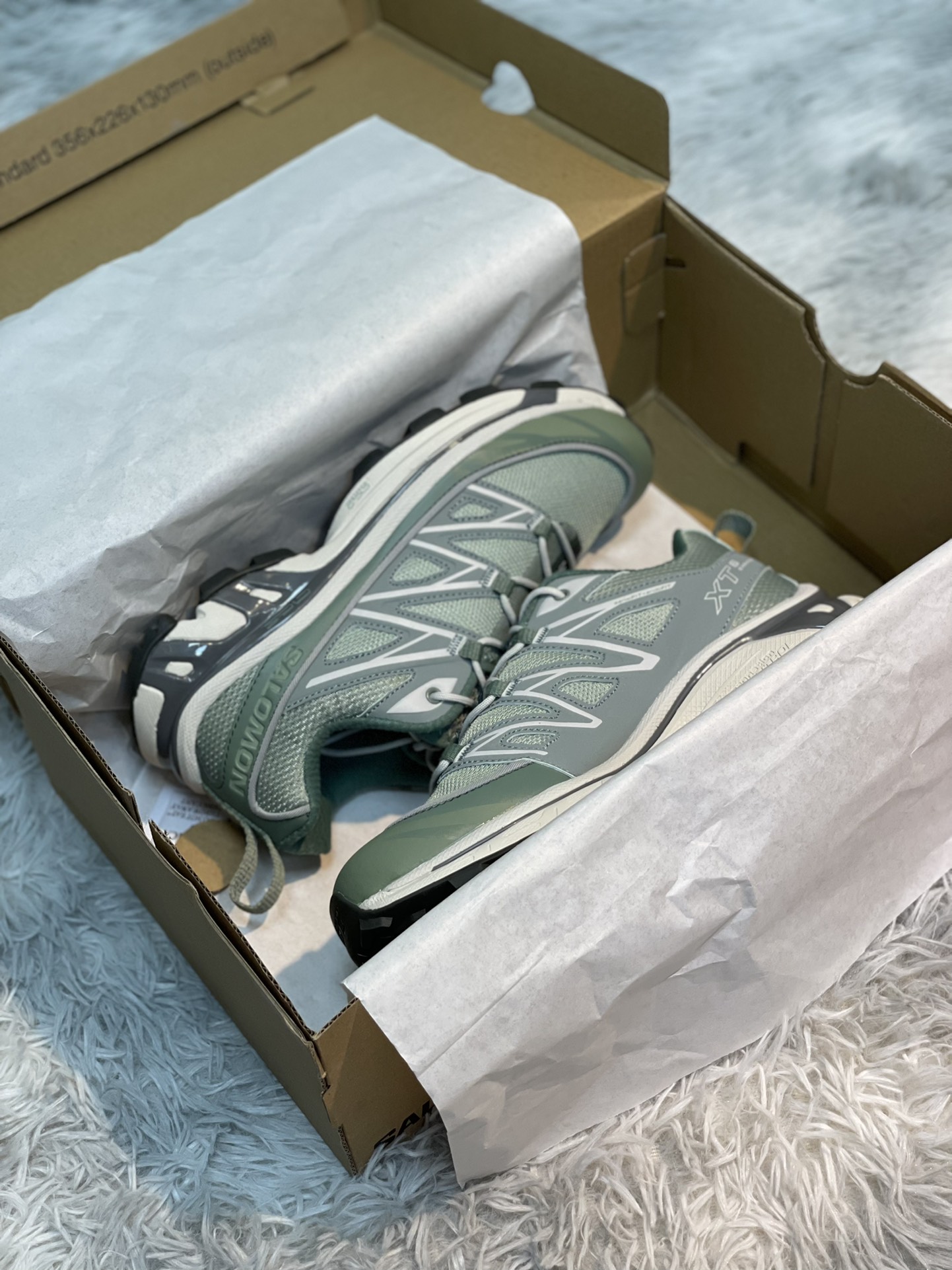 Salomon Male Basic Shoes M-l-s
