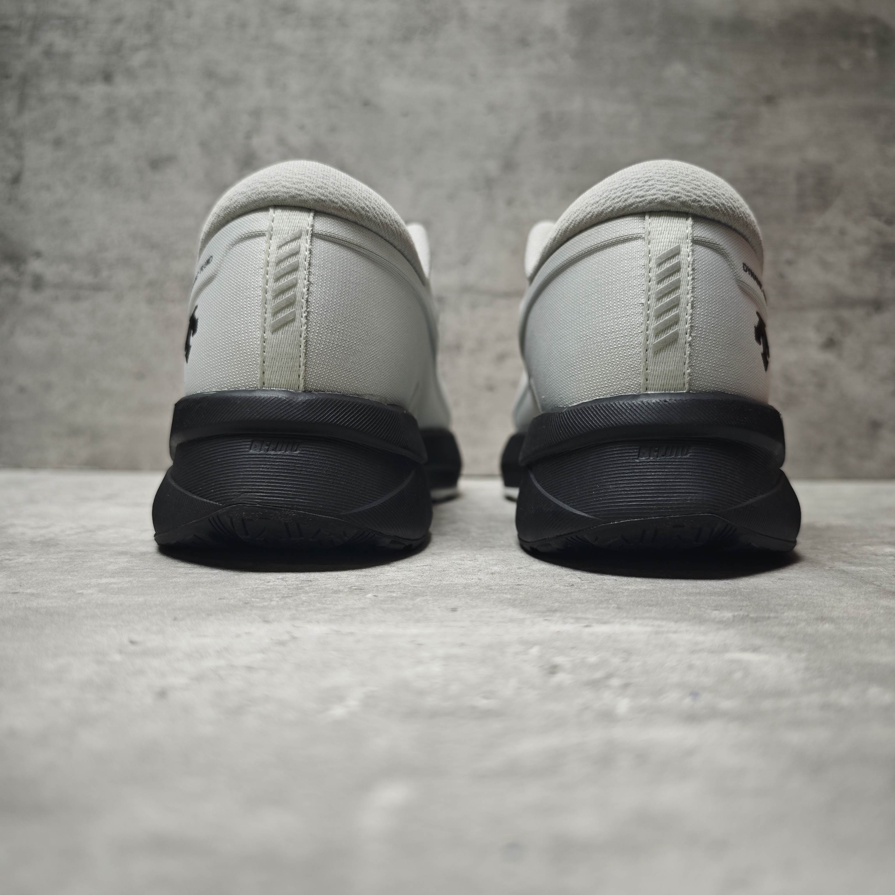 Descente Basic Shoes Breathable L-s