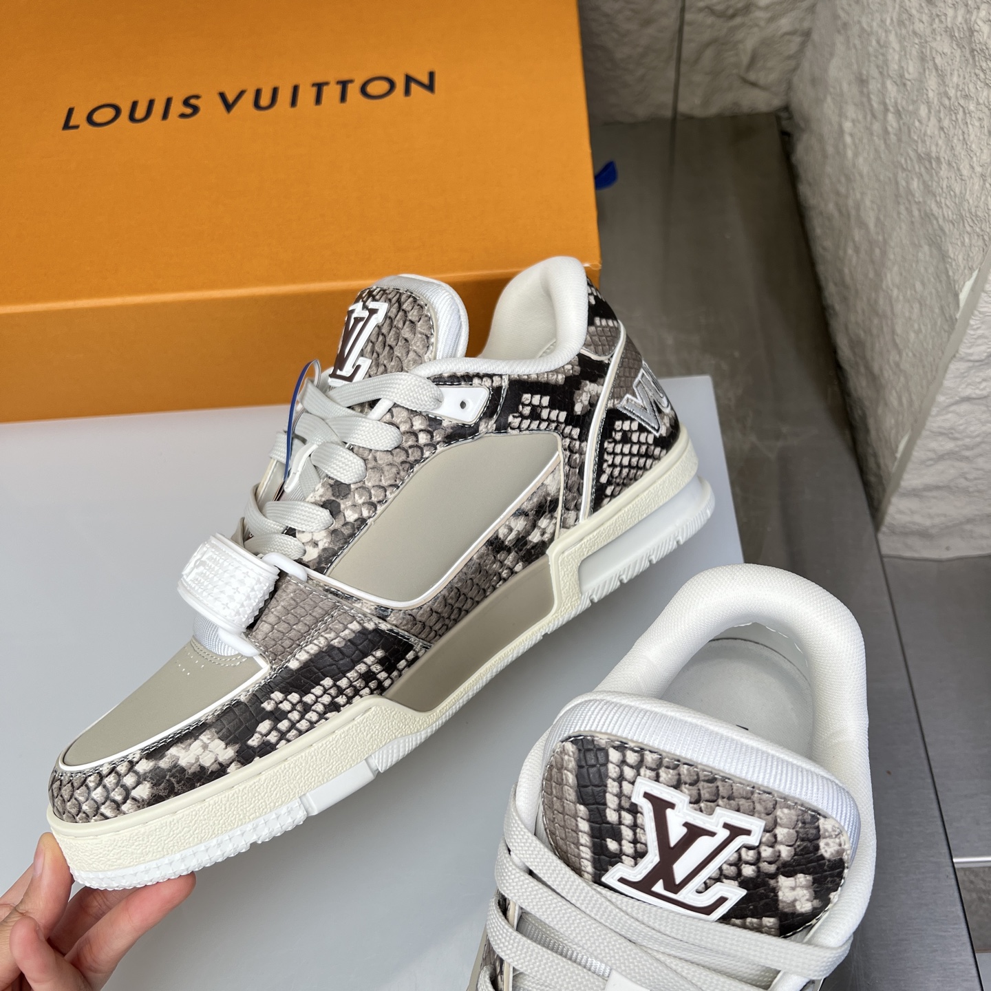 Louis Vuitton Male Board Shoes L