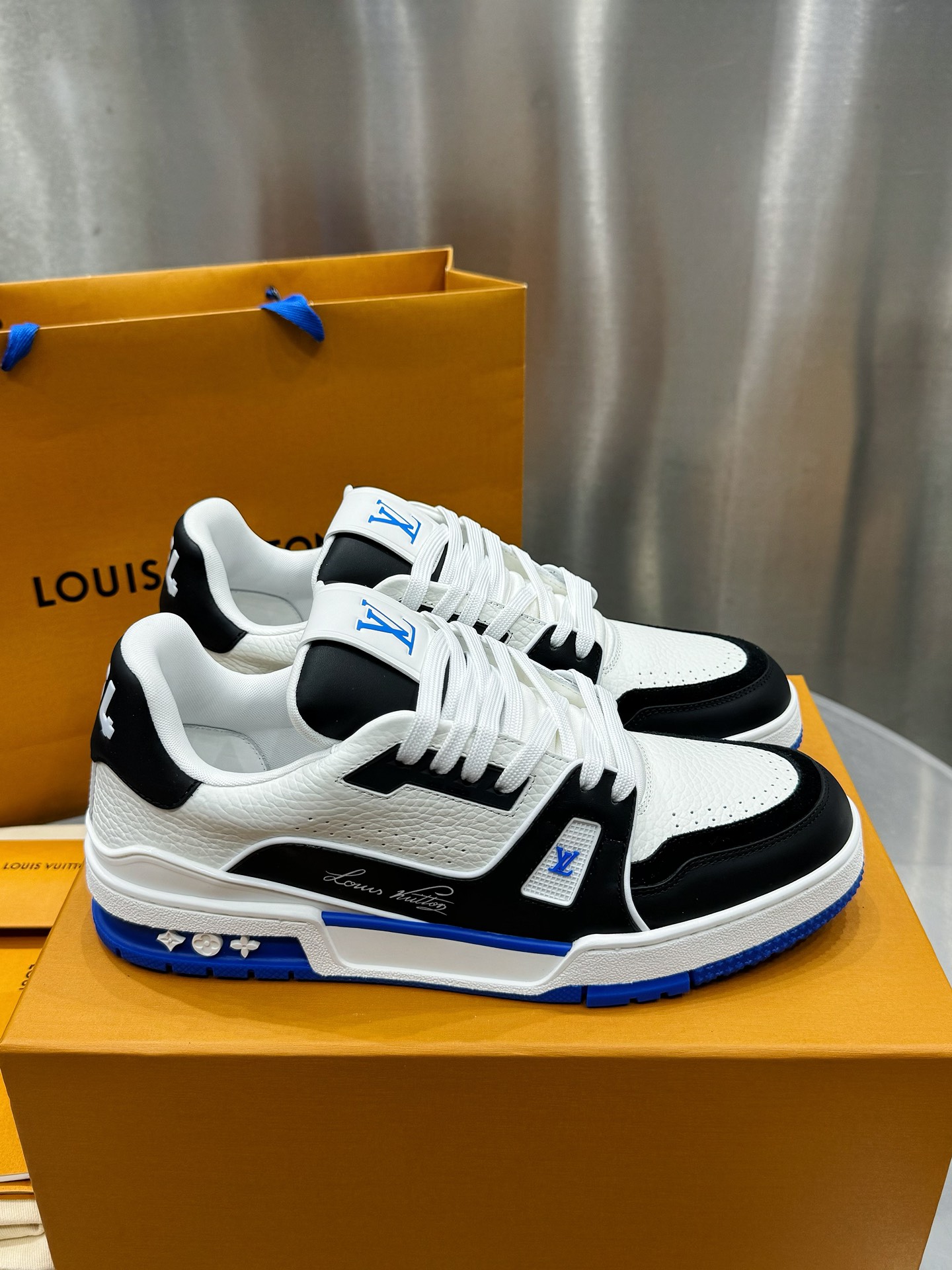 Louis Vuitton Male Sneakers L