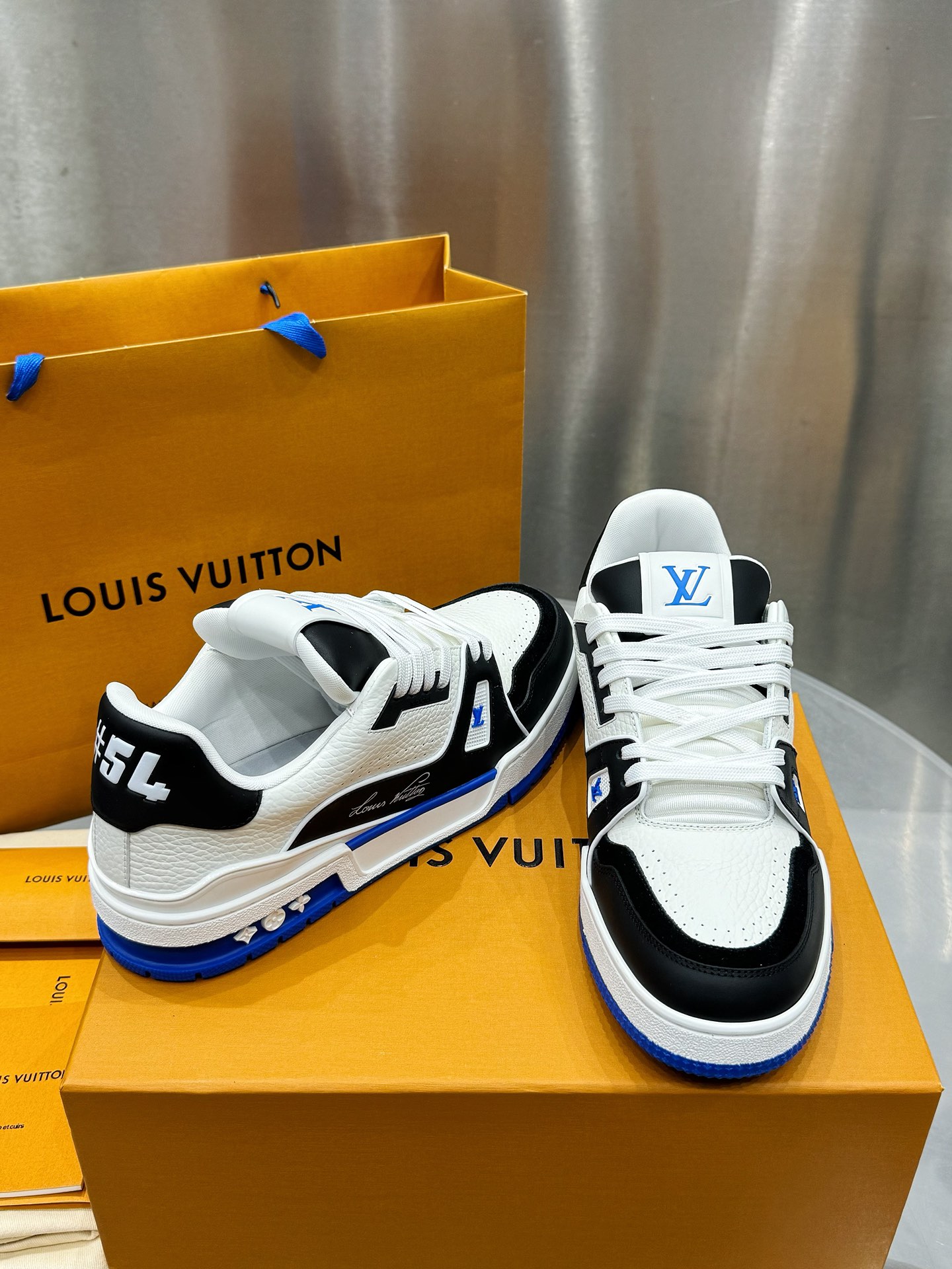 Louis Vuitton Male Sneakers L