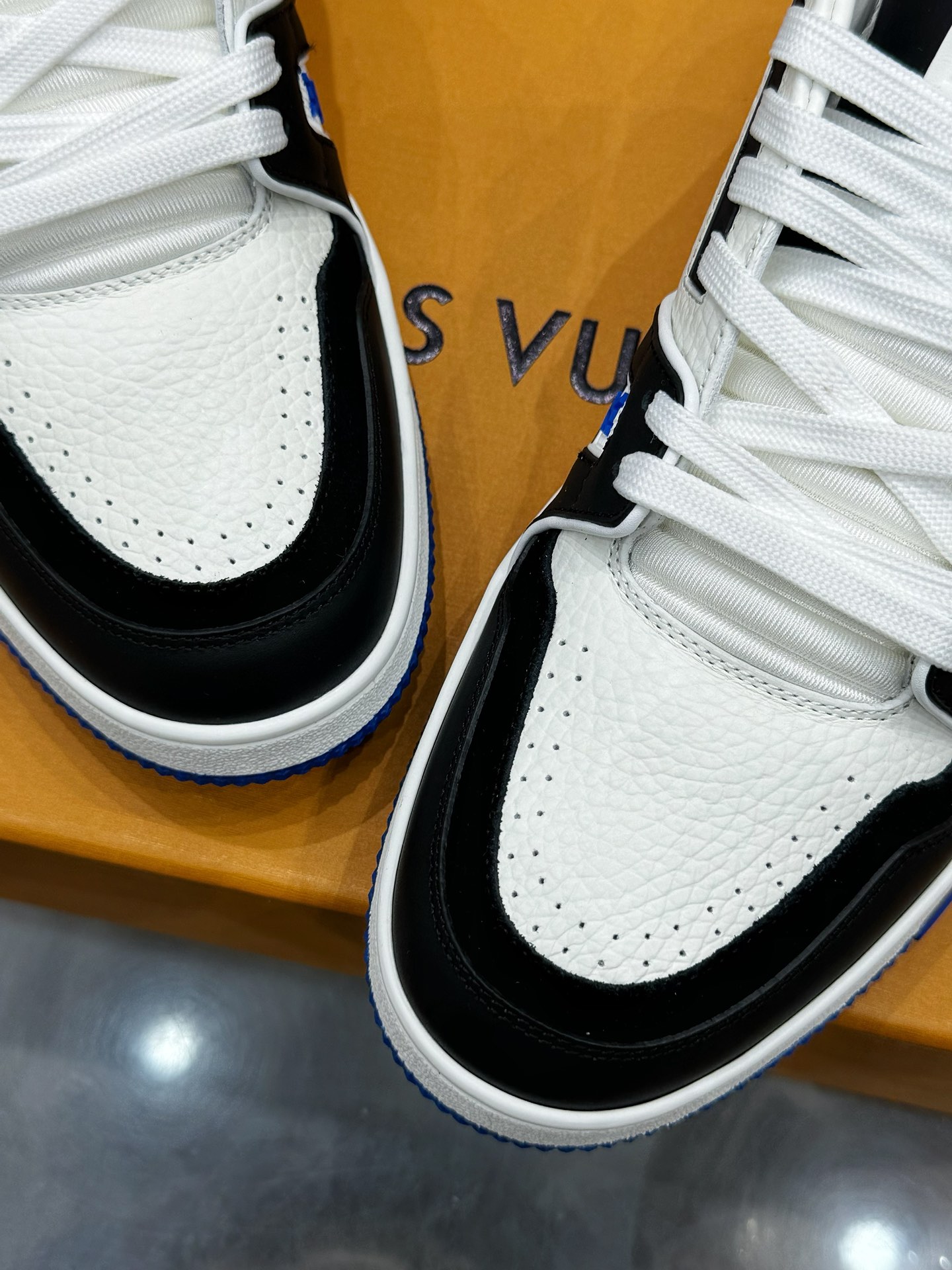 Louis Vuitton Male Sneakers L