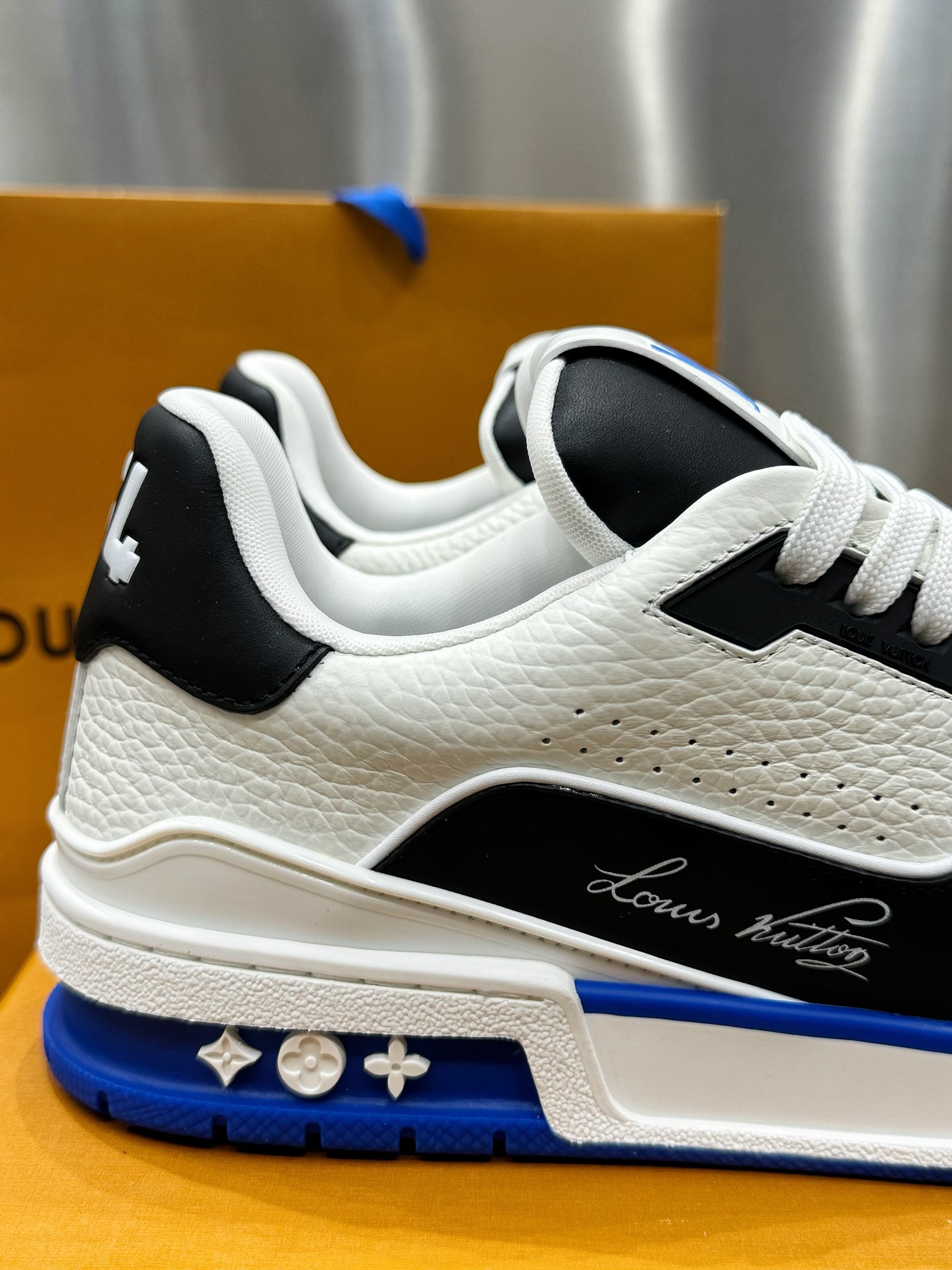 Louis Vuitton Male Sneakers L