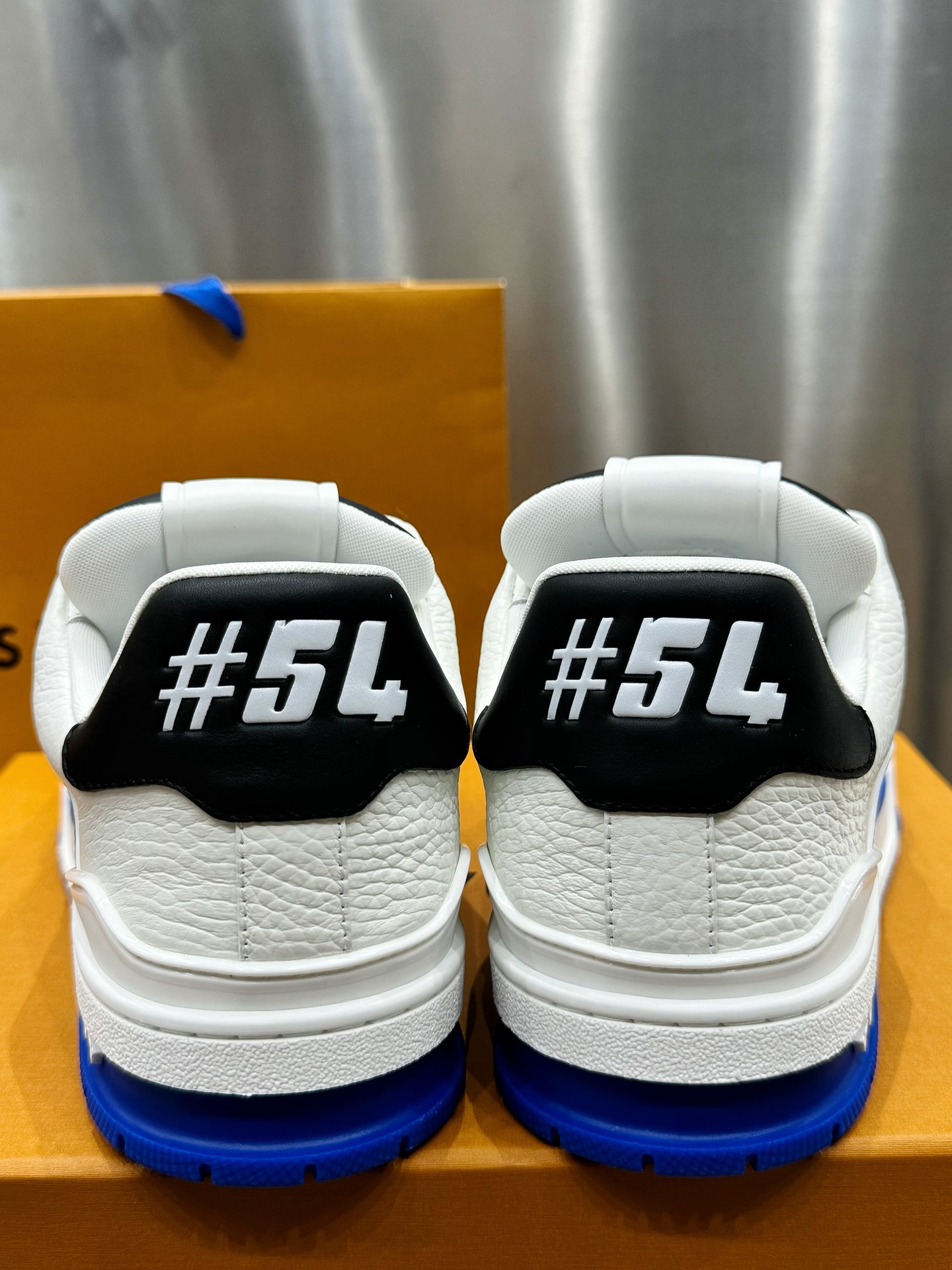 Louis Vuitton Male Sneakers L