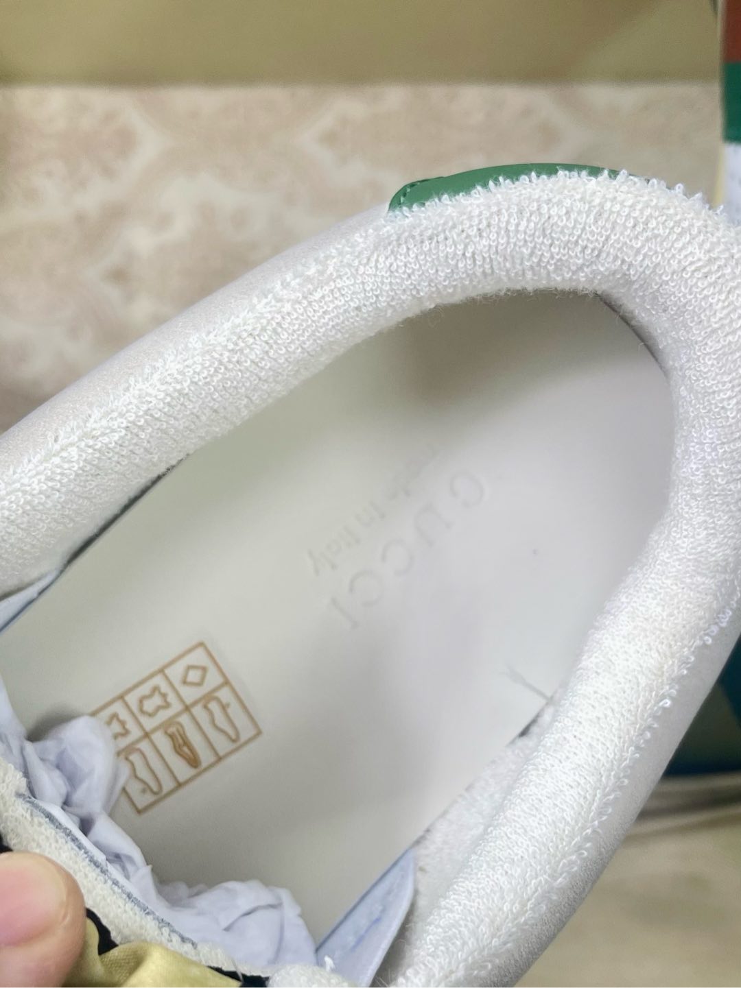 Gucci Male Basic Shoes