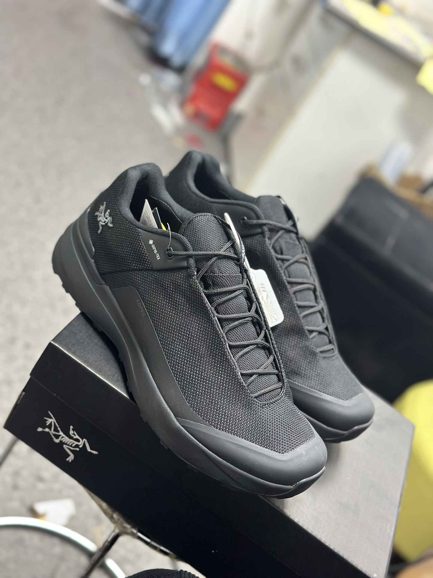 Arcteryx Basic Shoes M