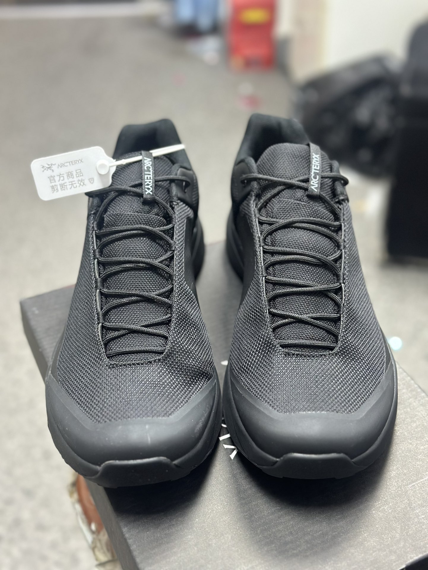 Arcteryx Basic Shoes M