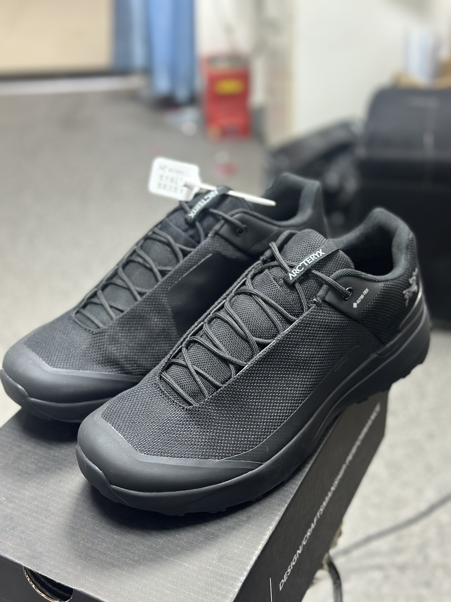 Arcteryx Basic Shoes M
