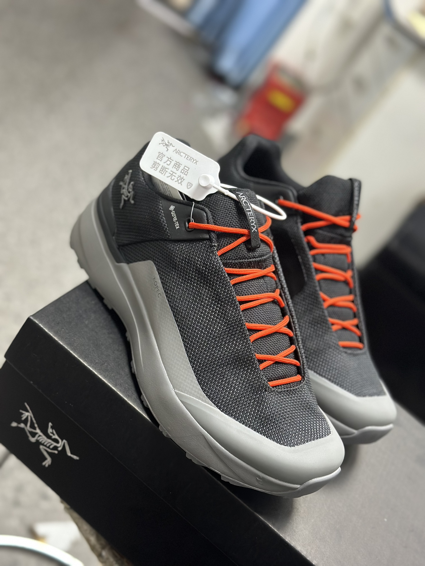 Arcteryx Basic Shoes M