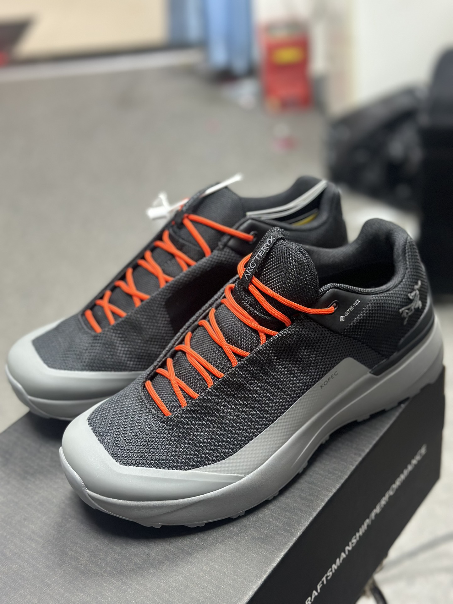 Arcteryx Basic Shoes M