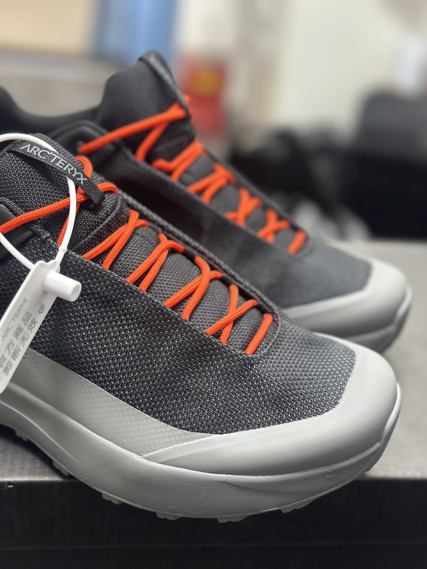 Arcteryx Basic Shoes M