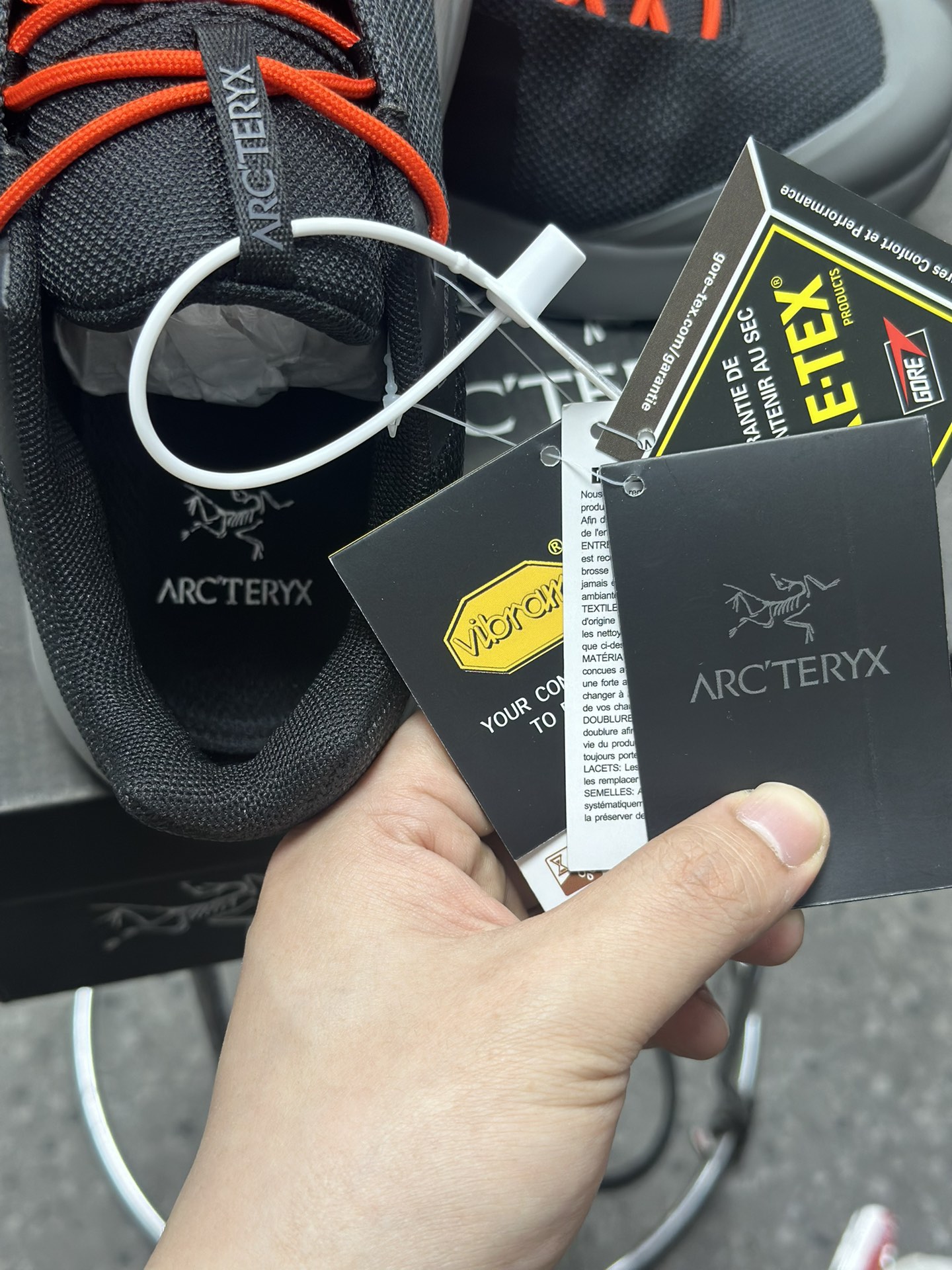 Arcteryx Basic Shoes M