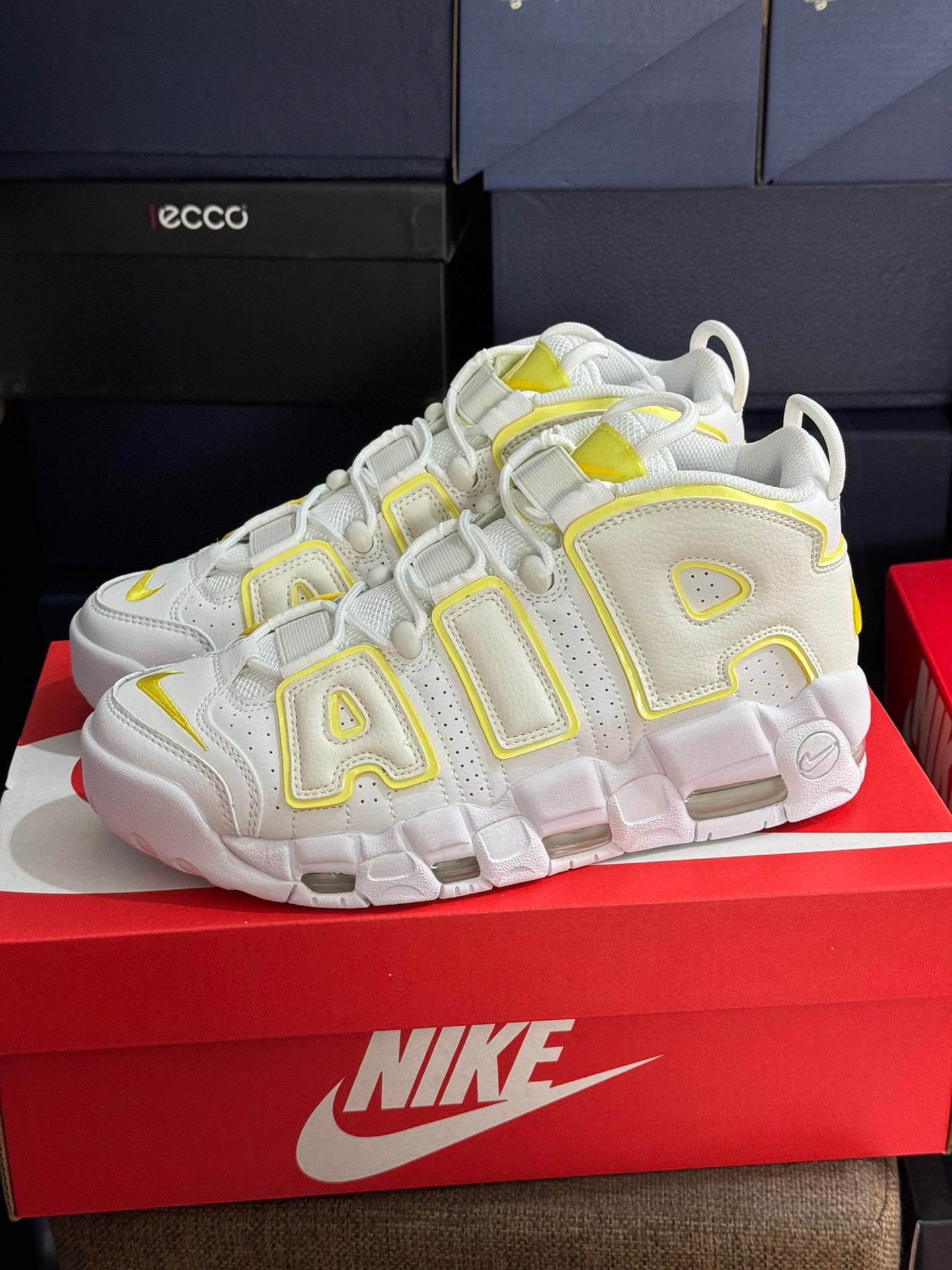 Basic Shoes
