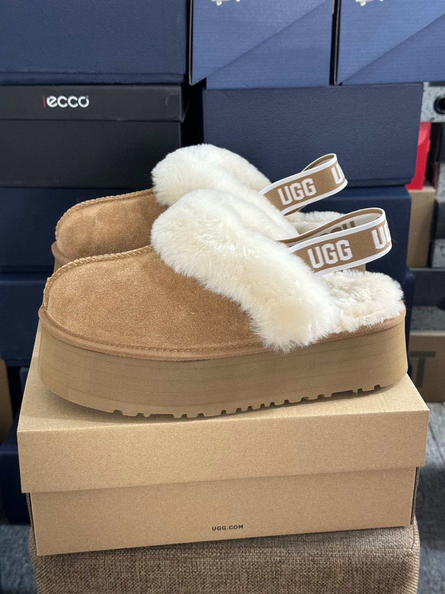 Basic Shoes