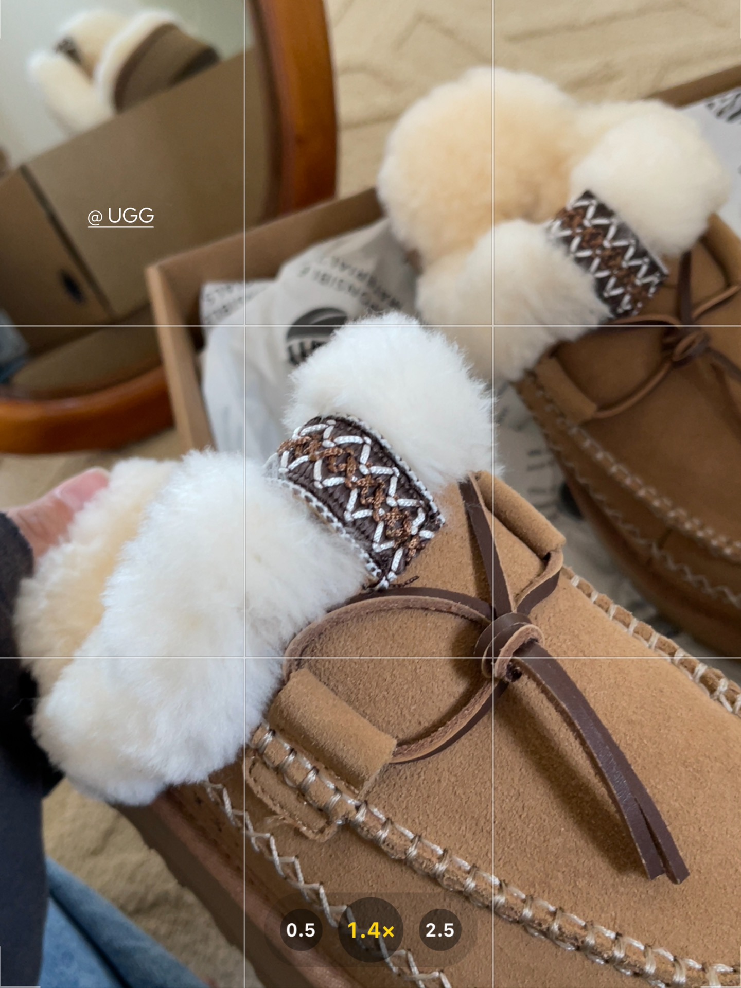 Basic Shoes