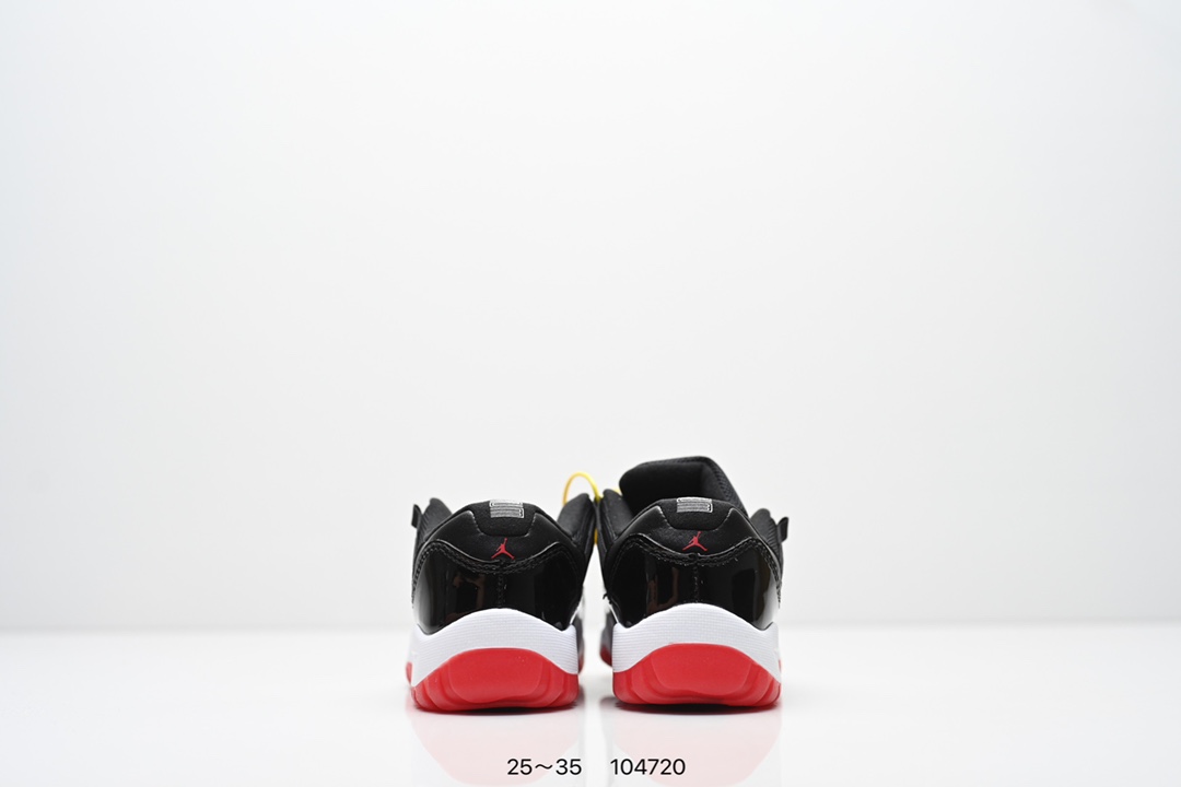 Jordan Nike Basic Shoes