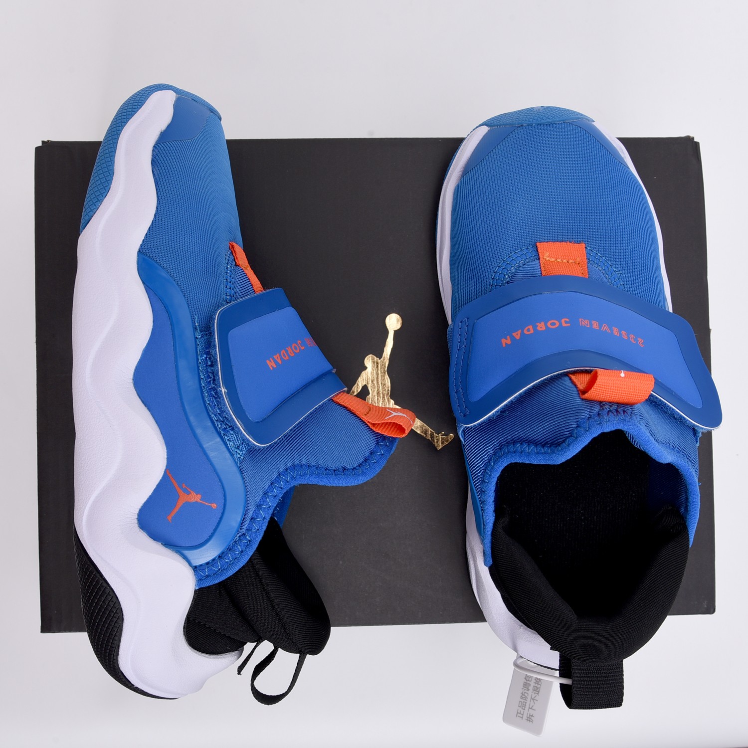 Jordan Basic Shoes