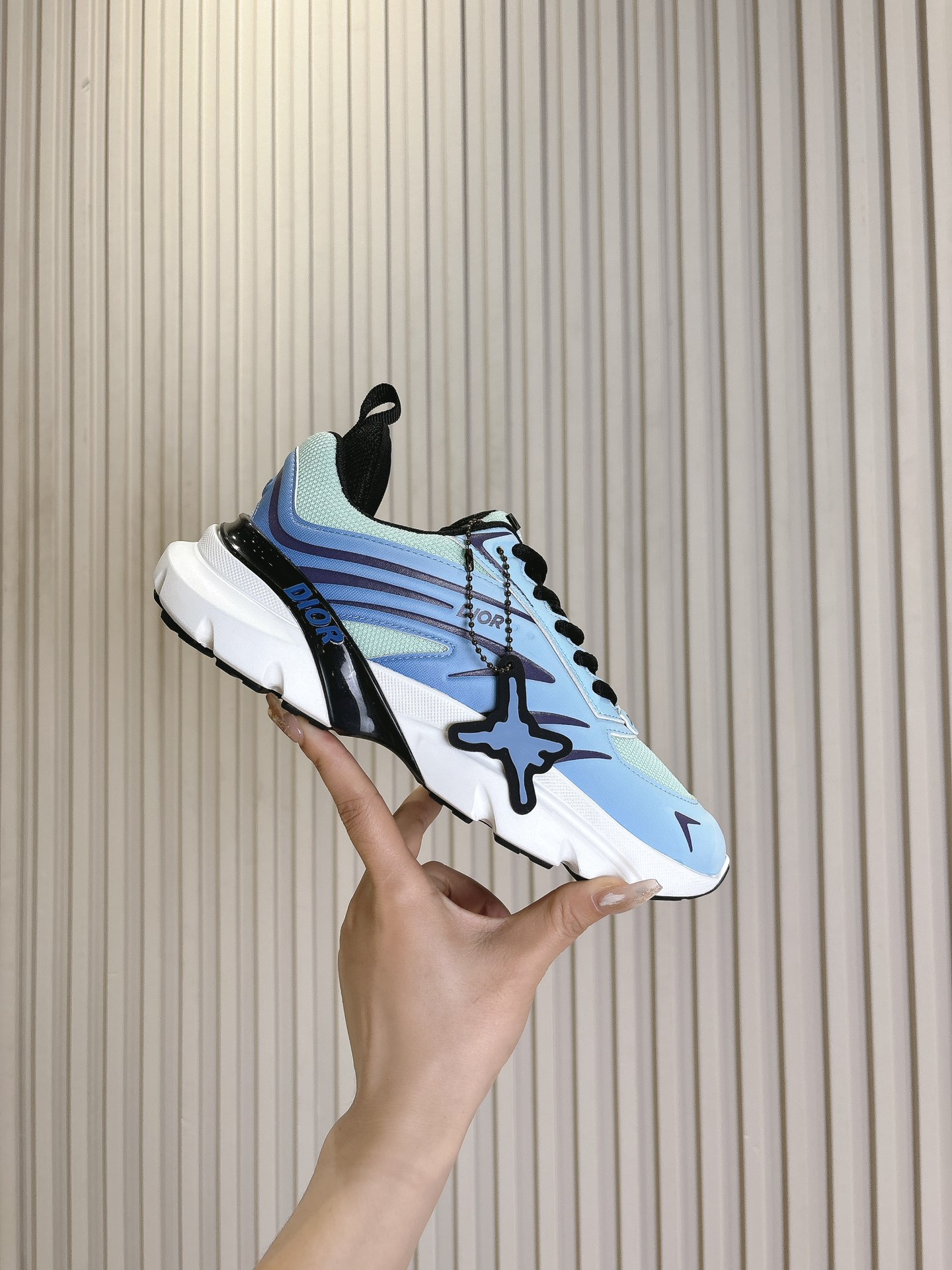 Dior Couple Running Shoes