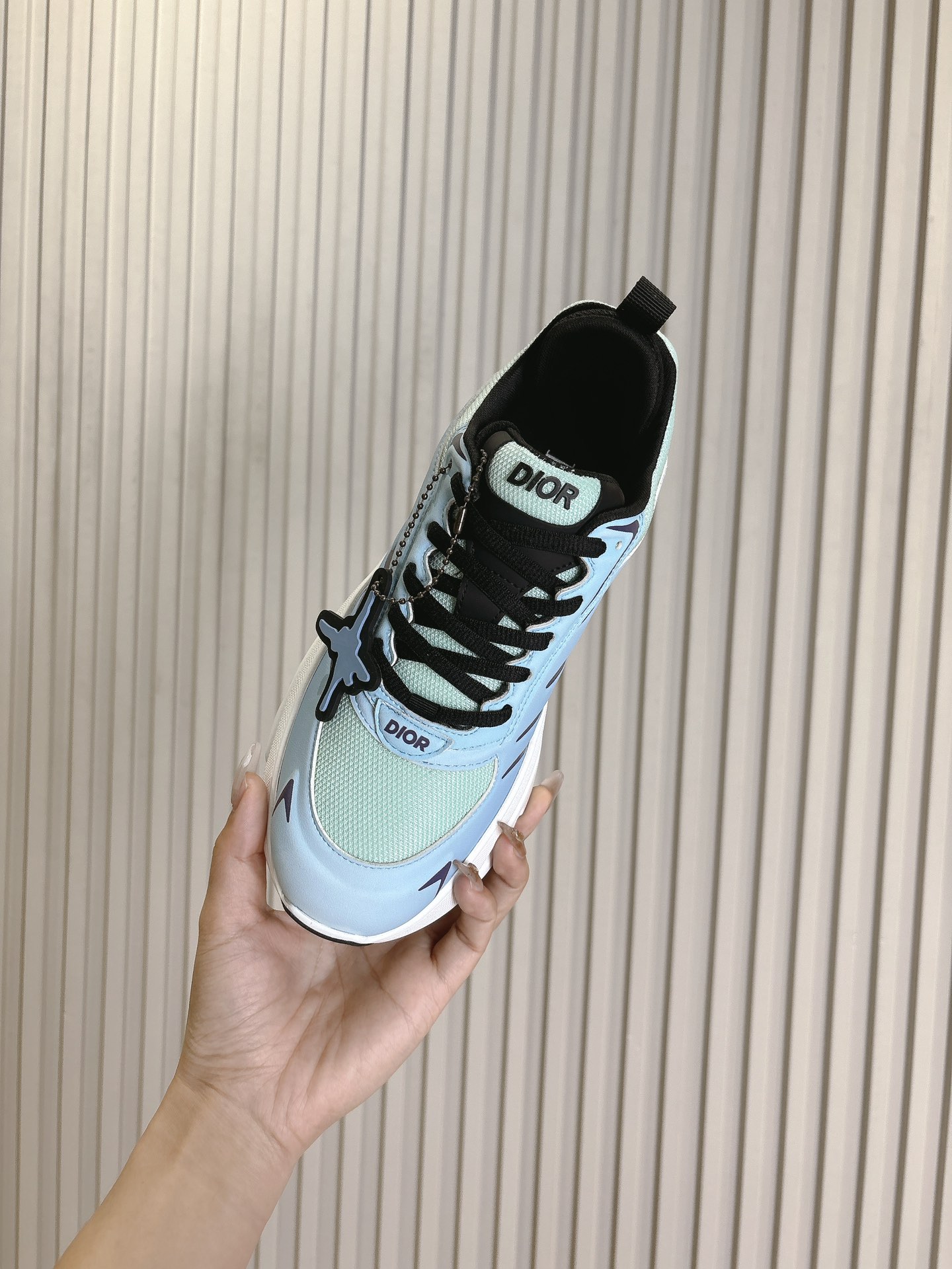 Dior Couple Running Shoes