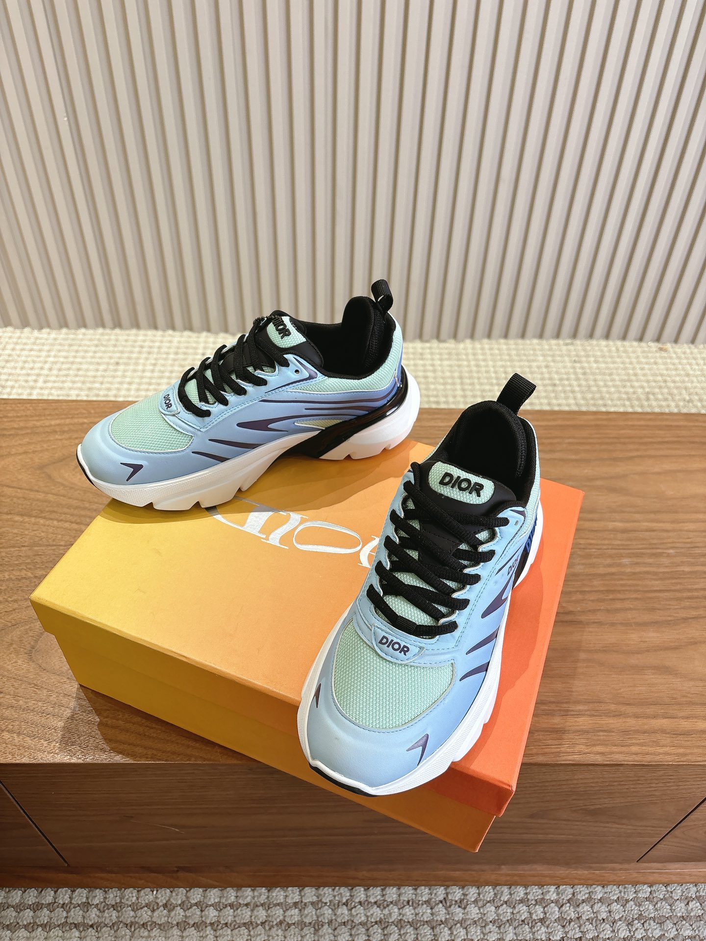 Dior Couple Running Shoes