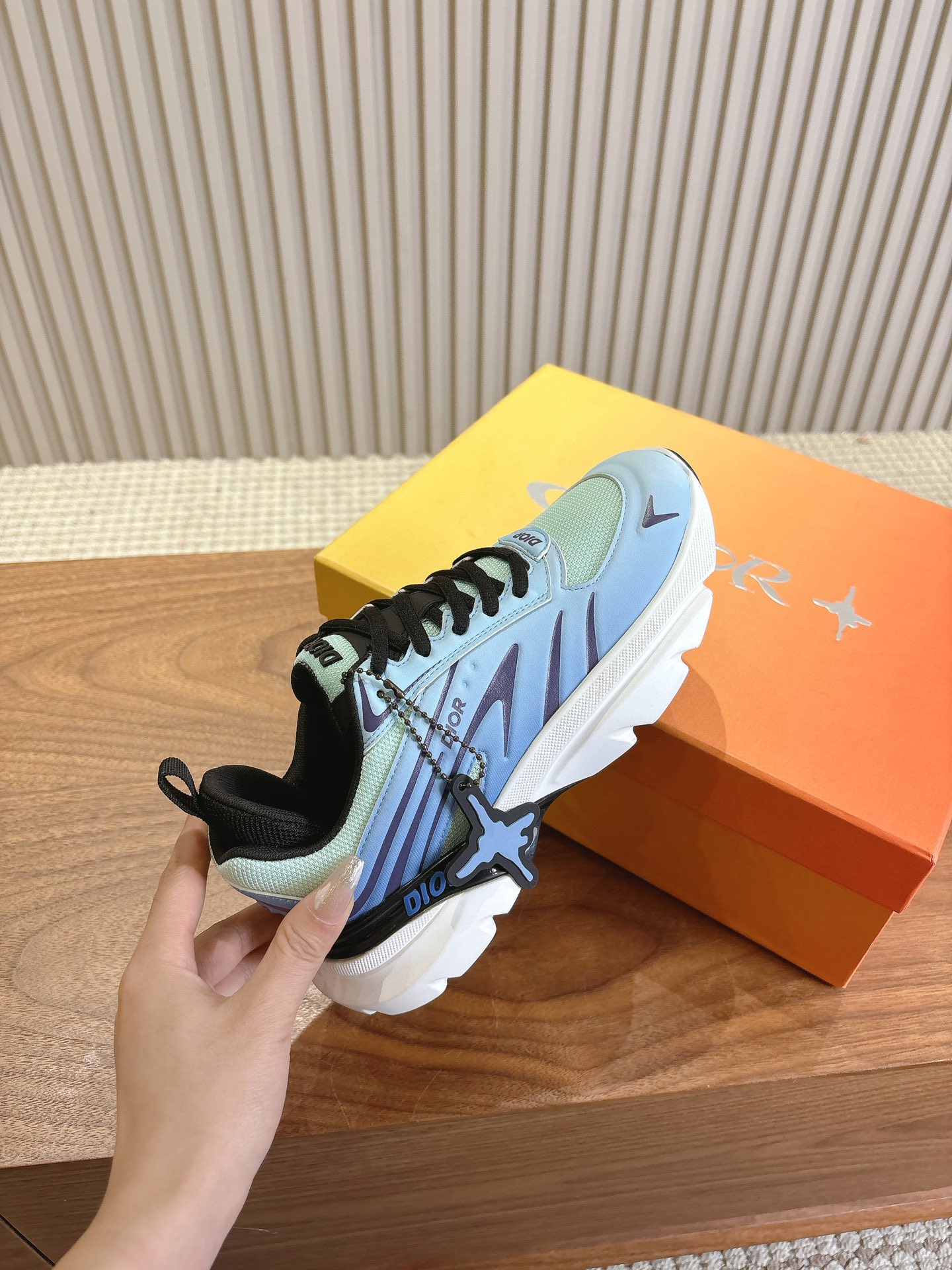 Dior Couple Running Shoes