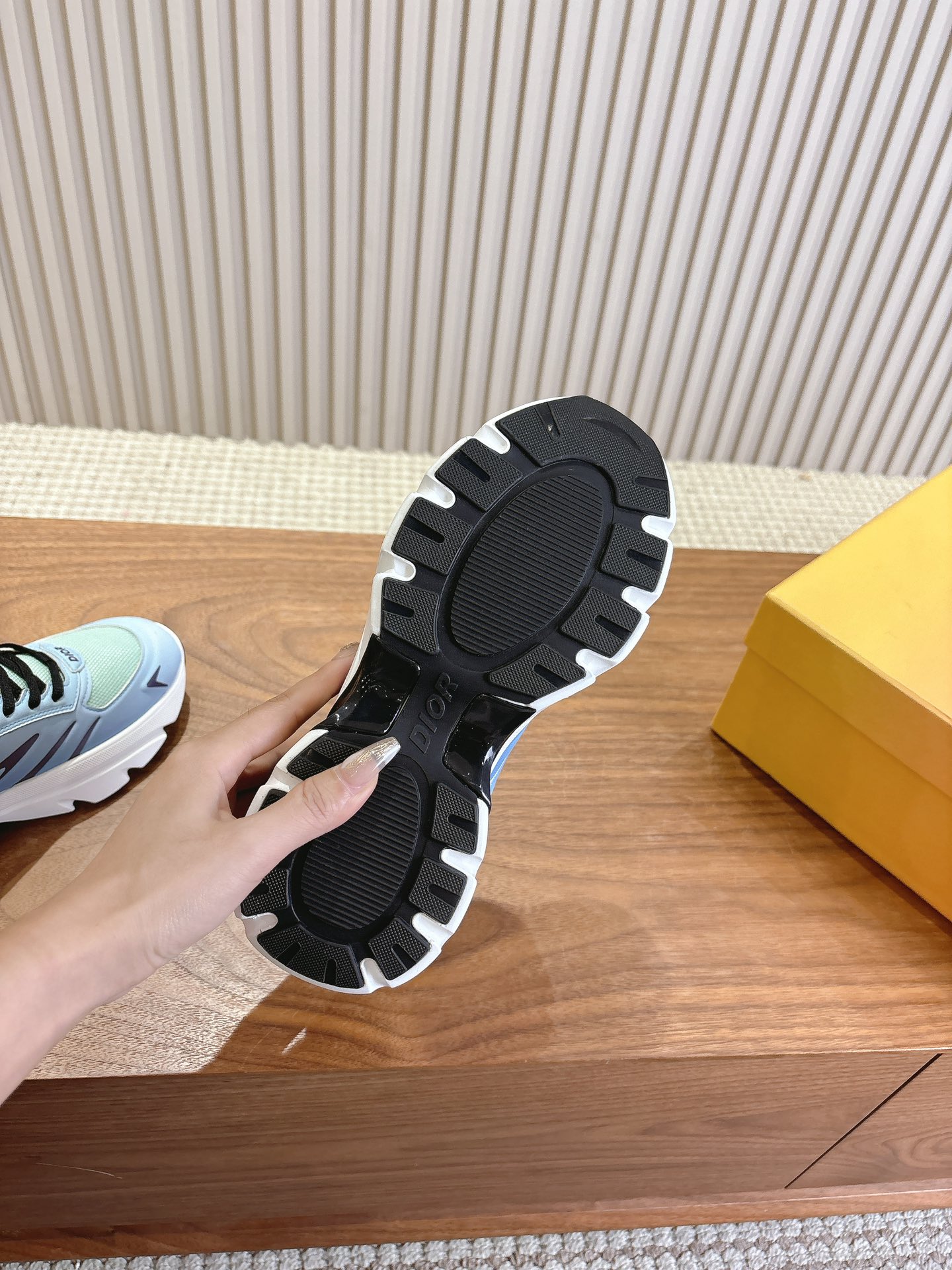 Dior Couple Running Shoes