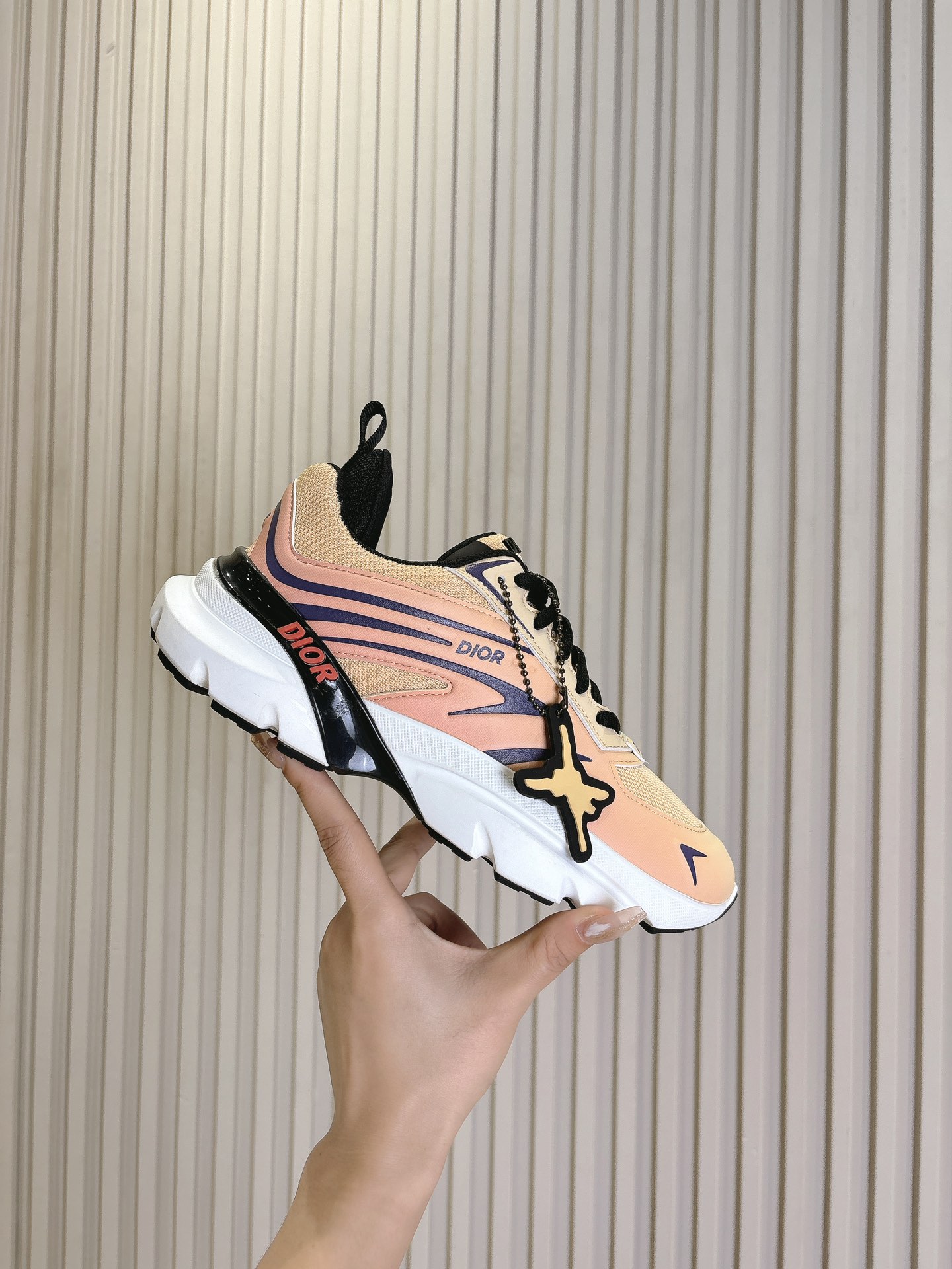 Dior Couple Running Shoes