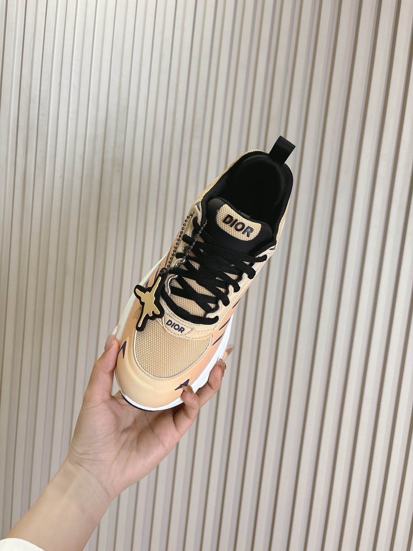 Dior Couple Running Shoes
