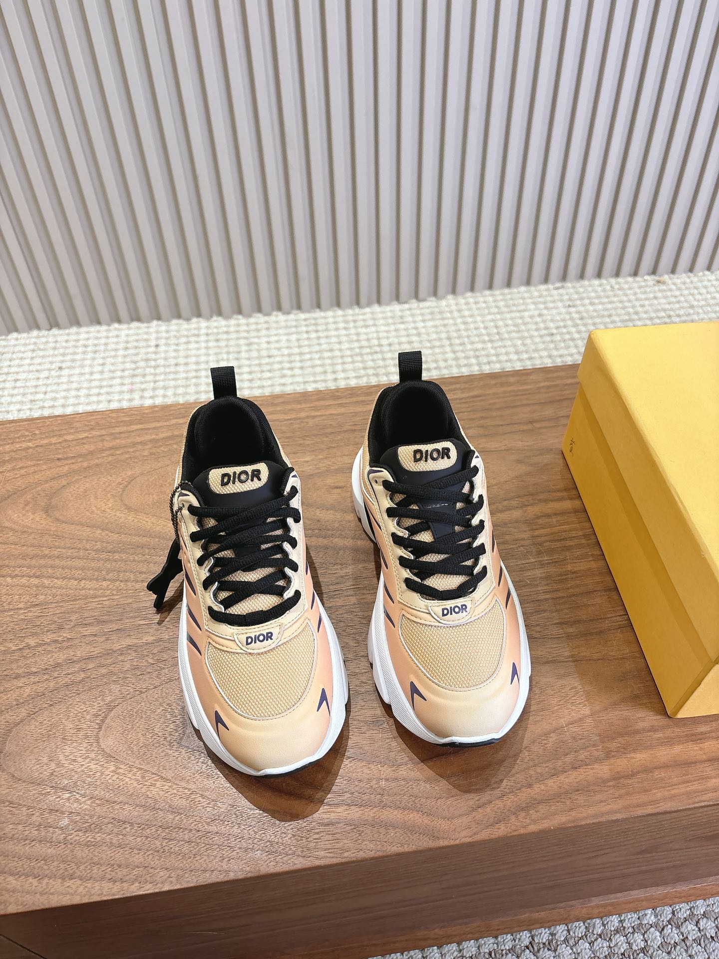 Dior Couple Running Shoes