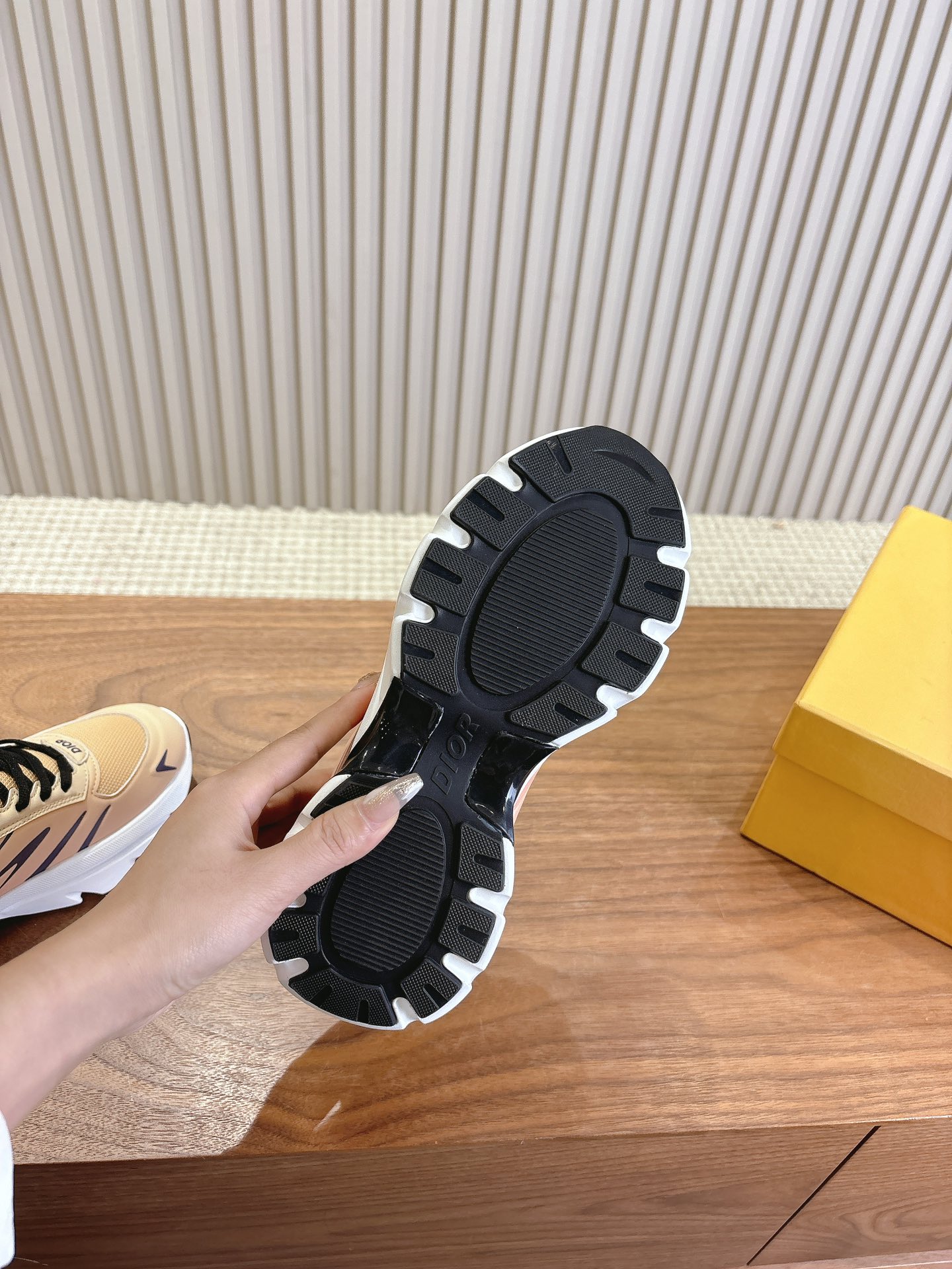 Dior Couple Running Shoes