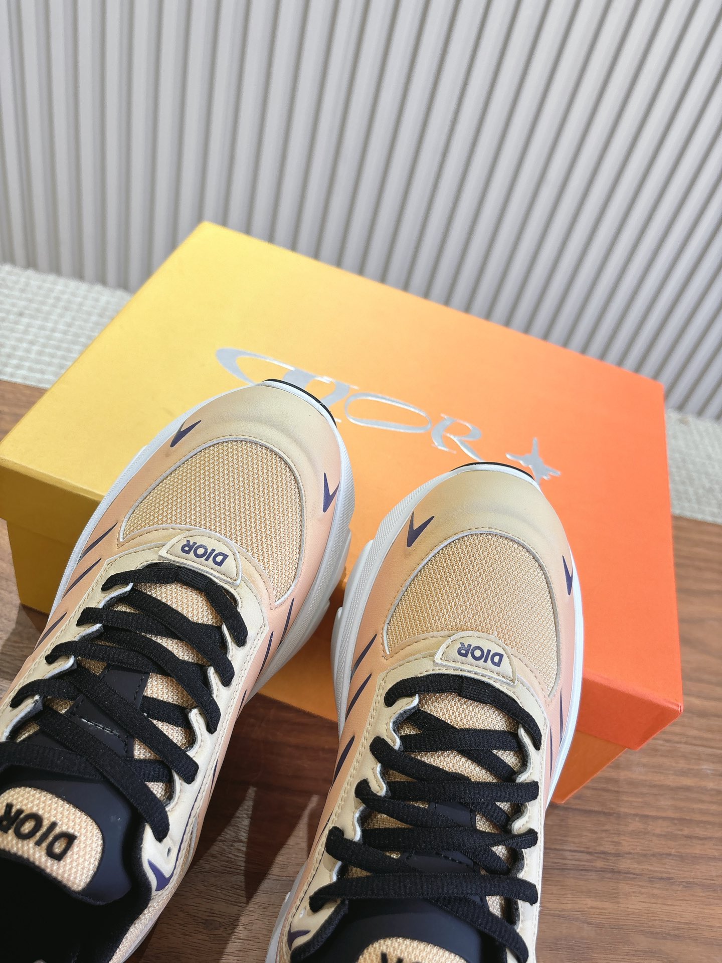 Dior Couple Running Shoes