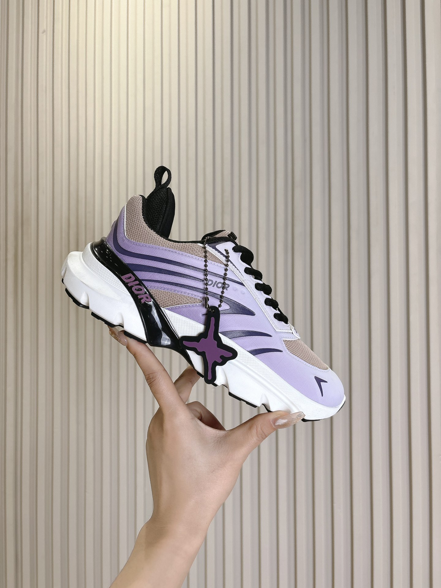 Dior Couple Running Shoes