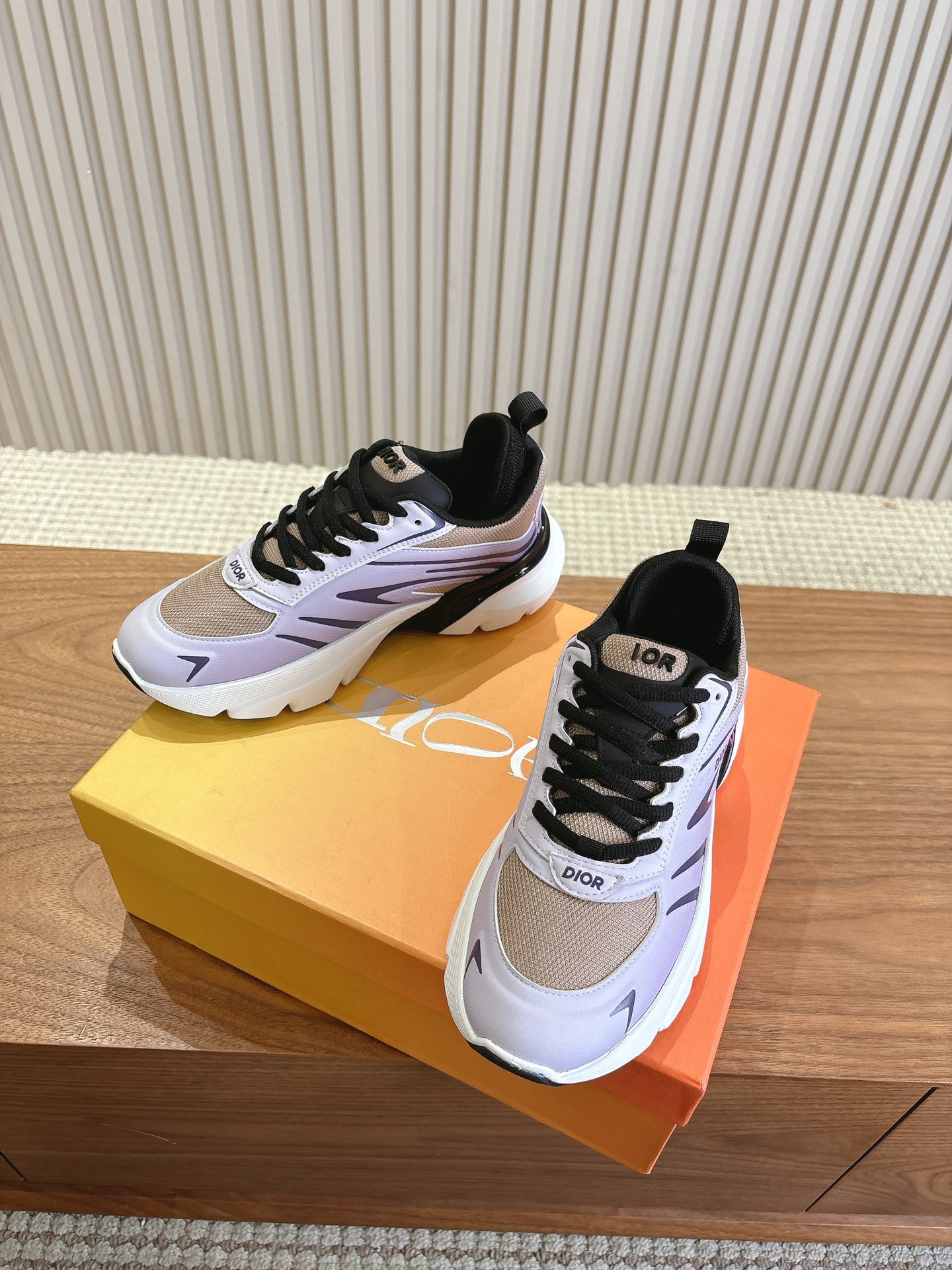 Dior Couple Running Shoes