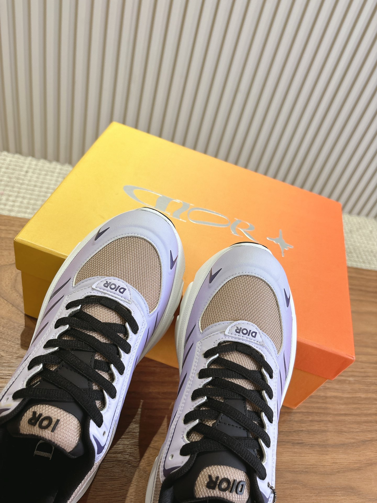 Dior Couple Running Shoes