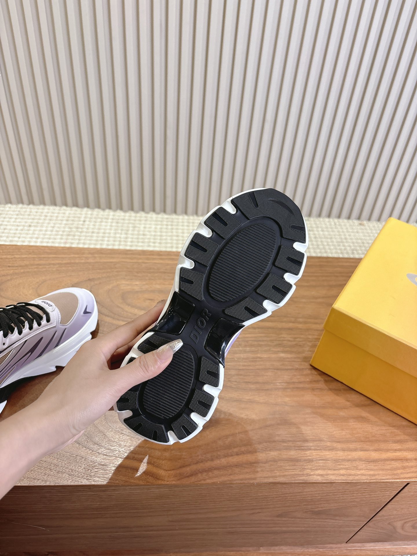 Dior Couple Running Shoes