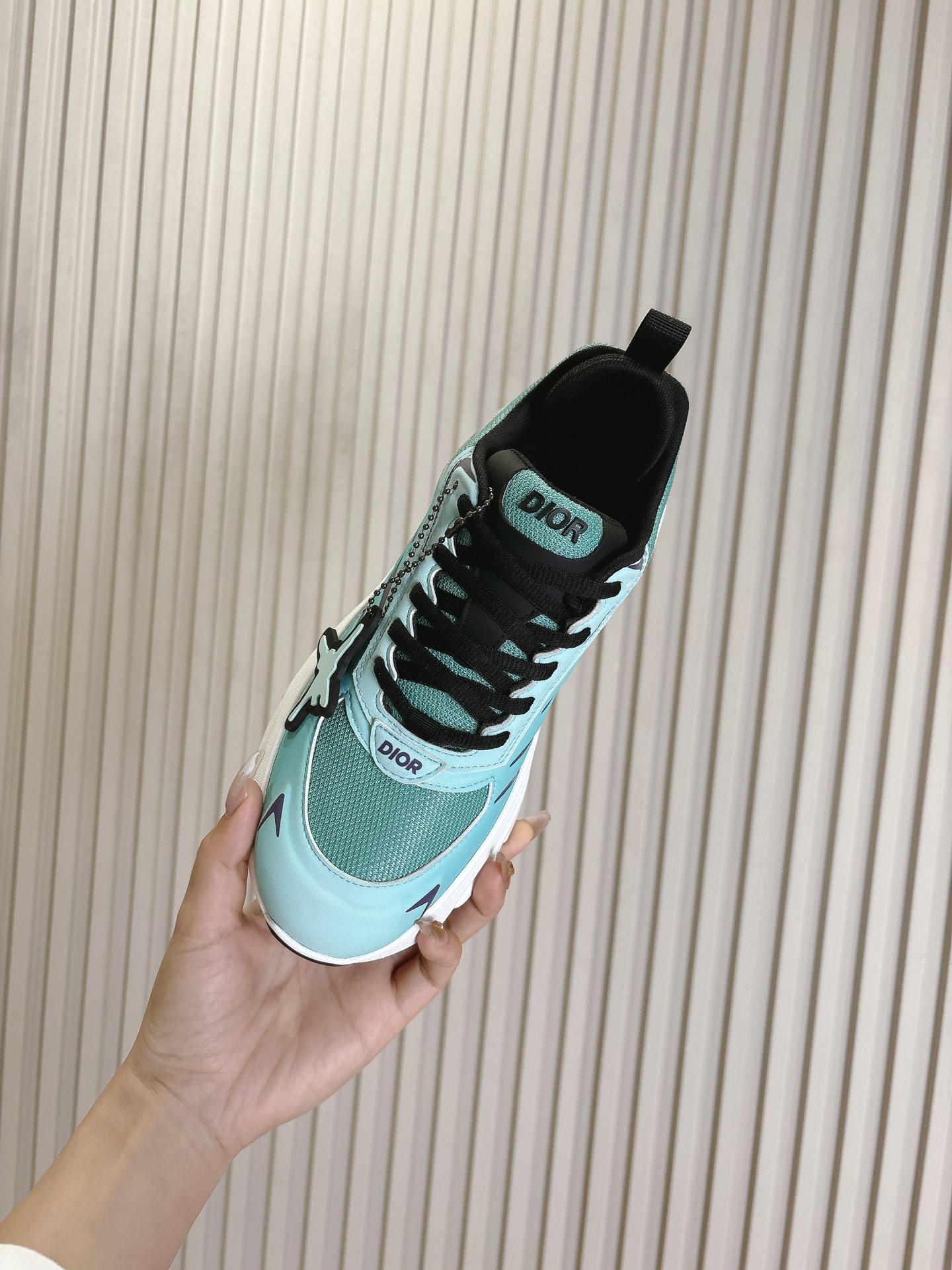 Dior Couple Running Shoes