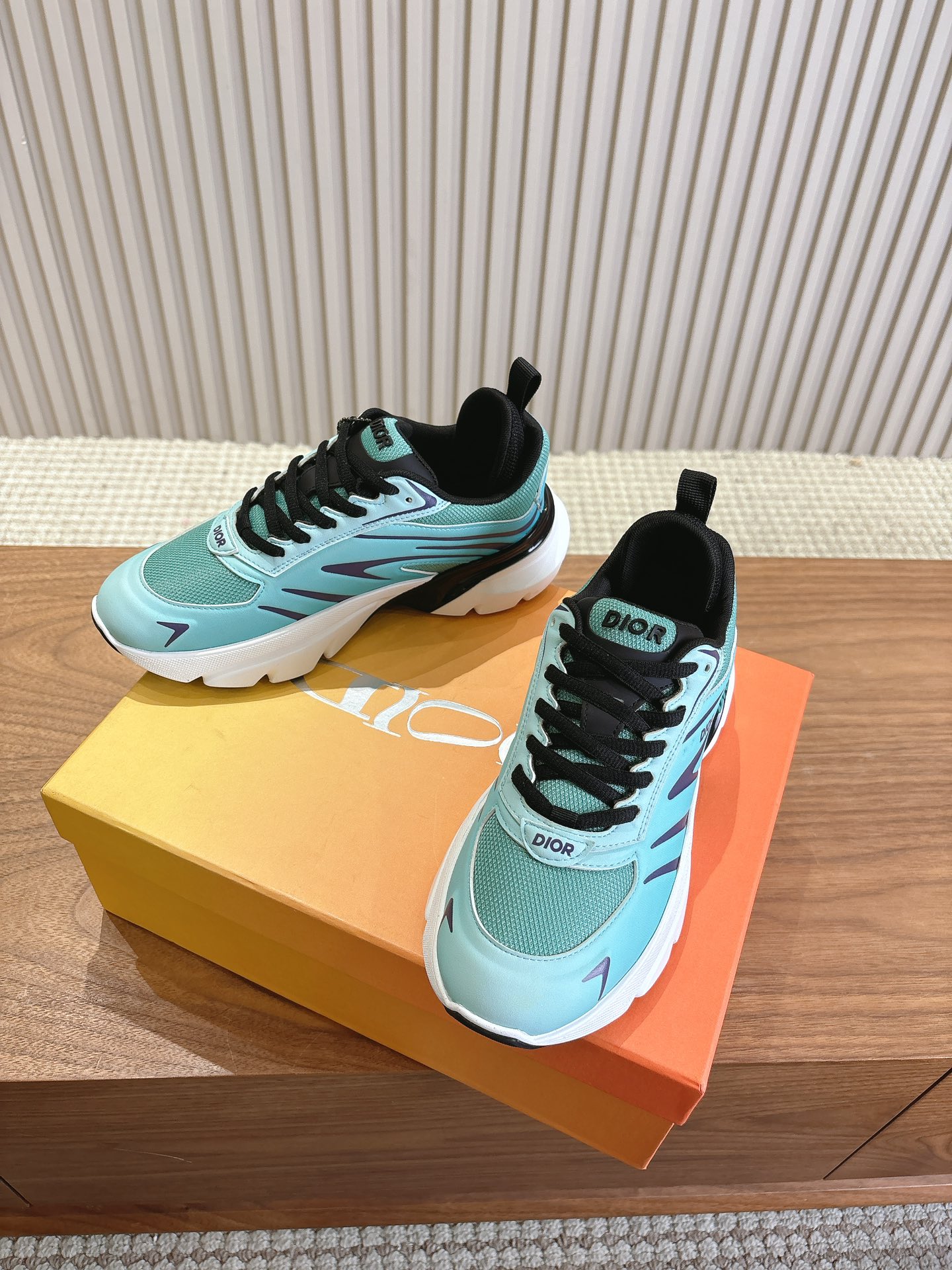 Dior Couple Running Shoes