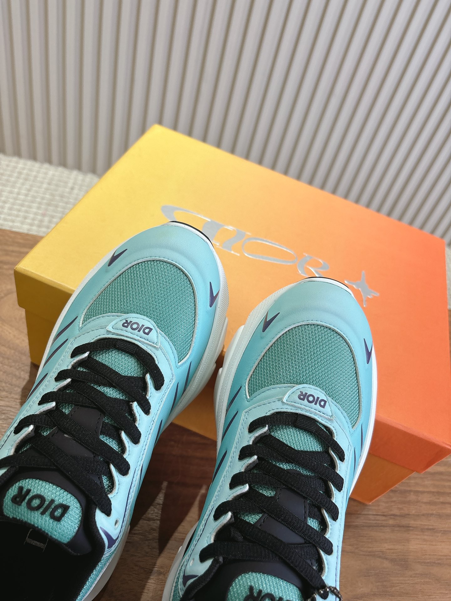 Dior Couple Running Shoes