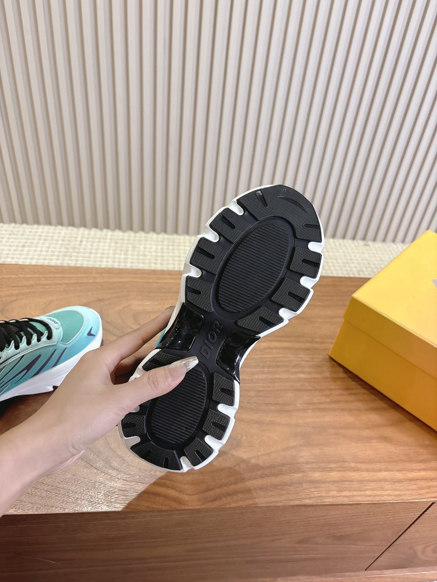 Dior Couple Running Shoes