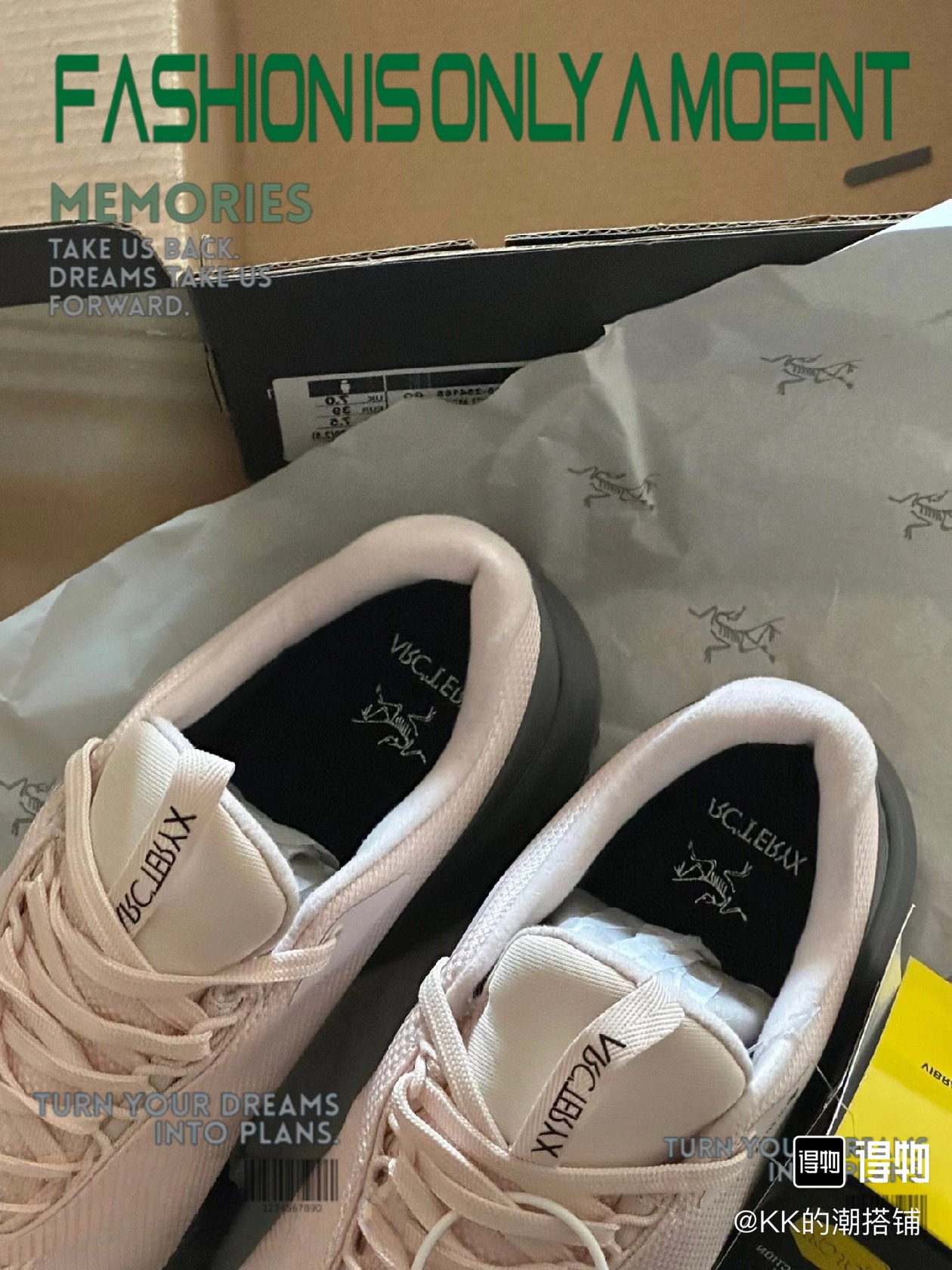 Arcteryx Basic Shoes S