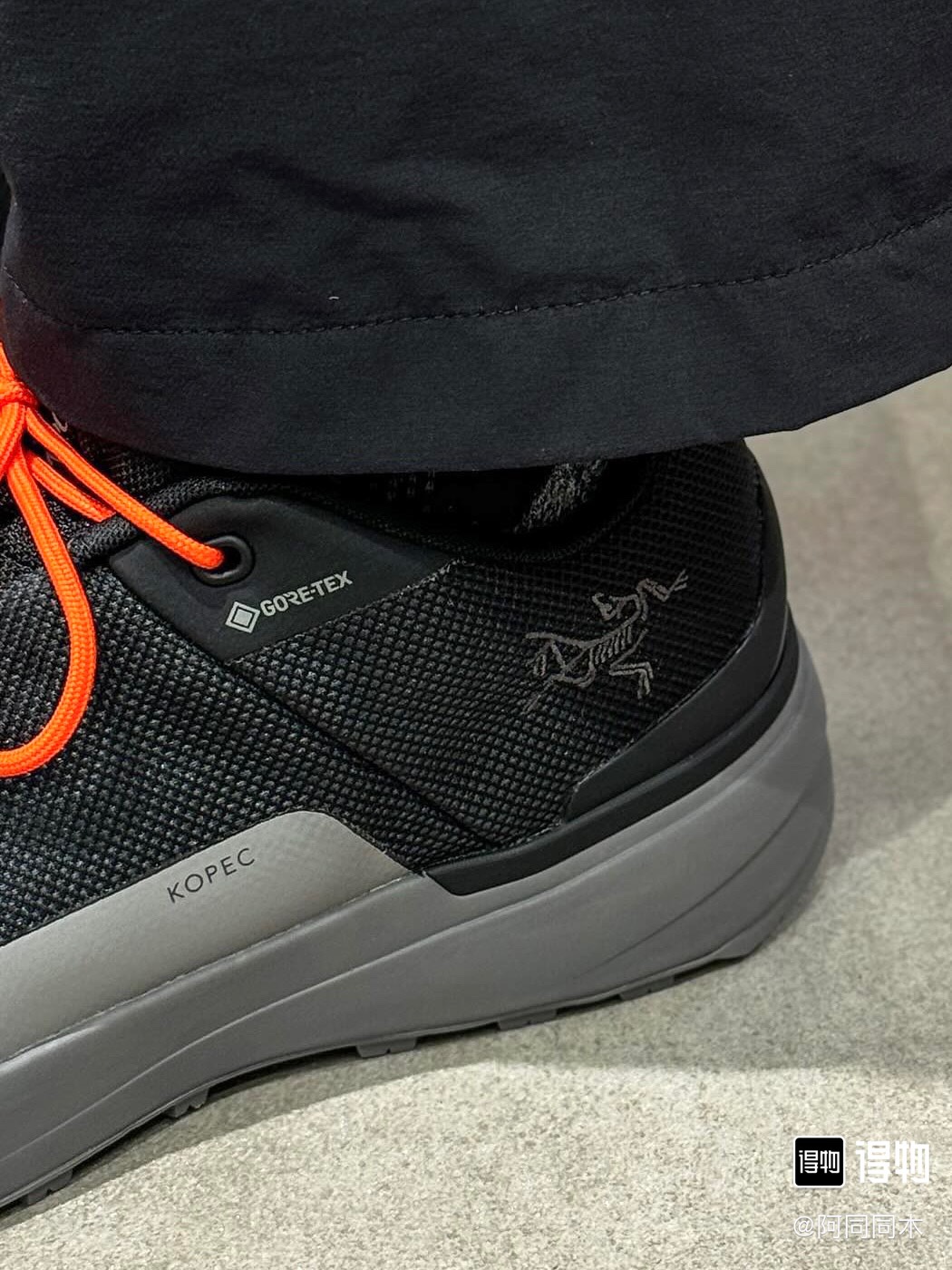 Arcteryx Basic Shoes
